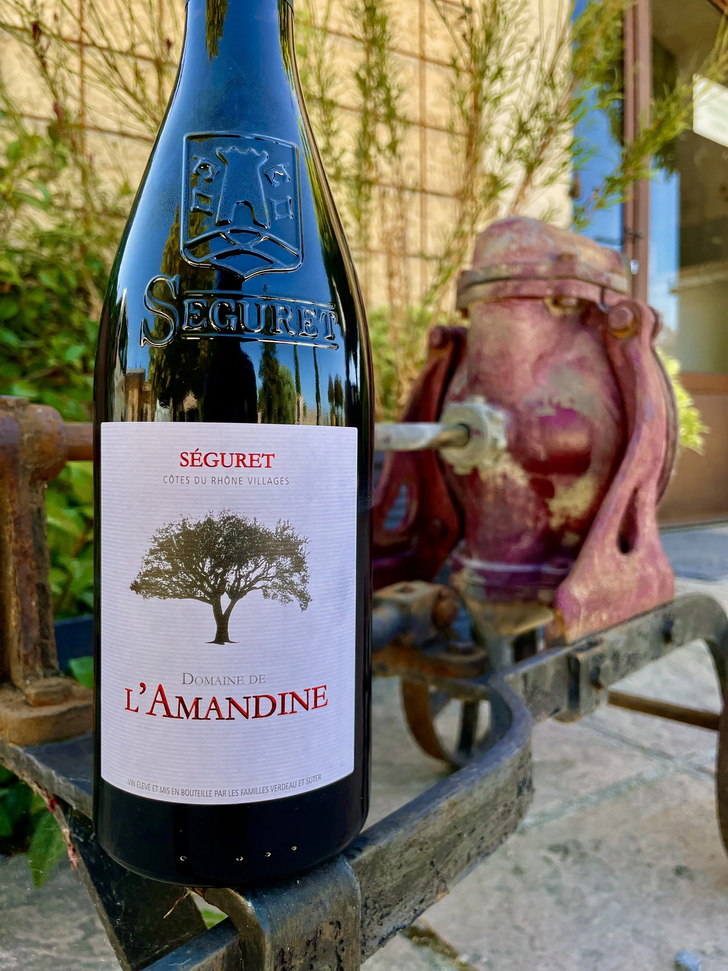 A Visit to Domaine Amandine 