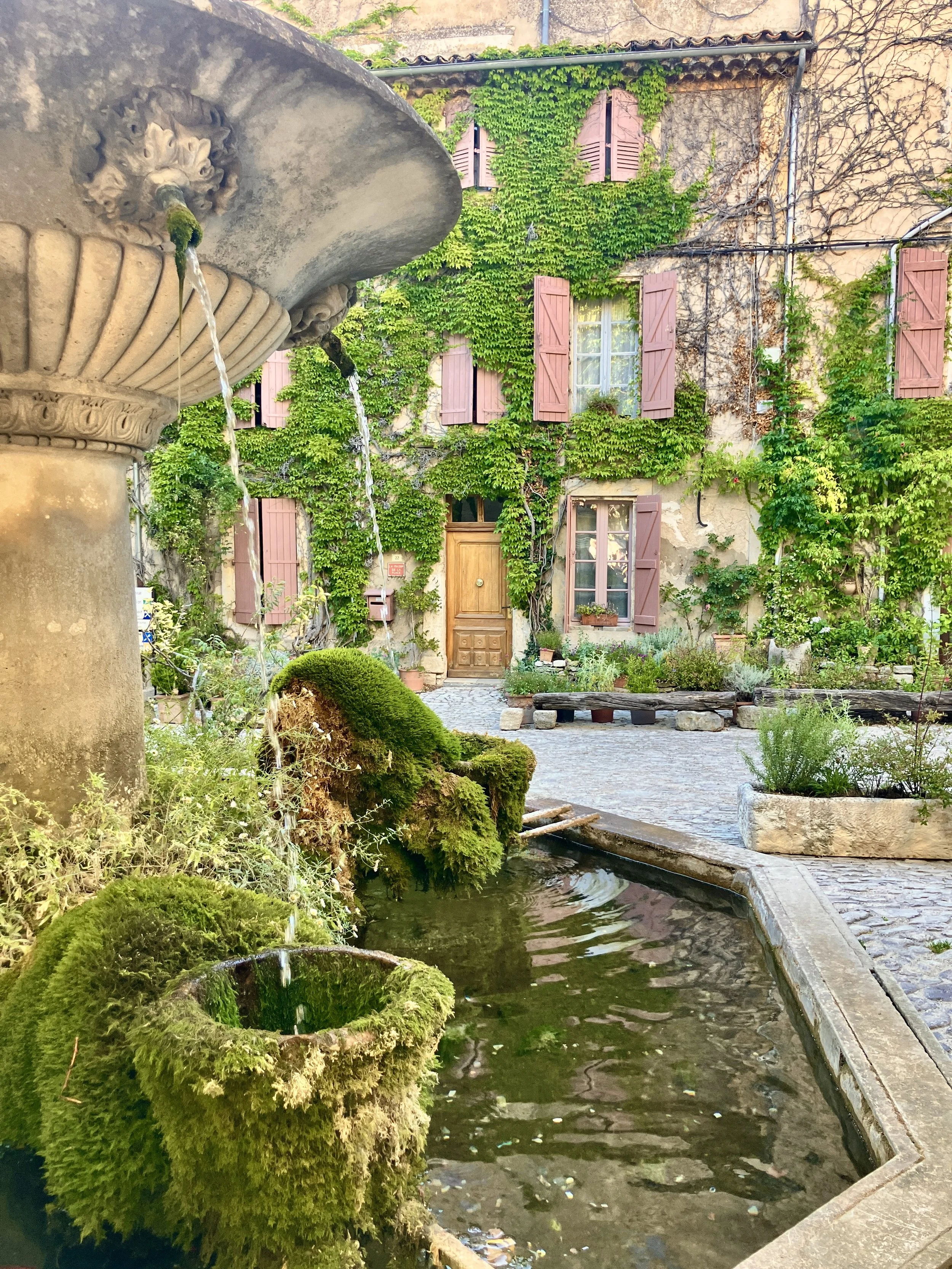 A stone fountain with water flowing from its carved floral spout, surrounded by moss and greenery, next to a small pond in a courtyard with an ivy-covered house featuring pink shutters and wooden door.
