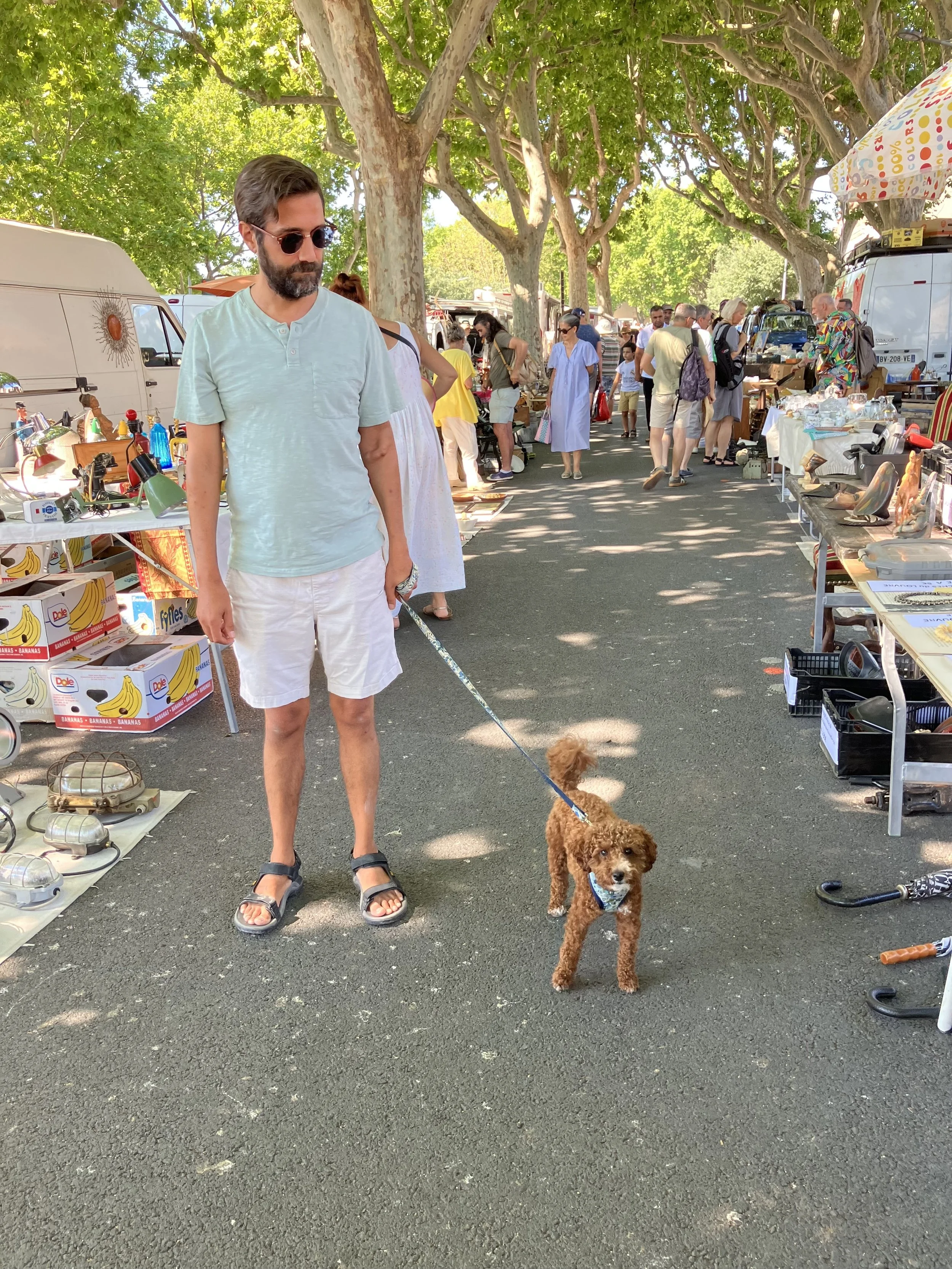 A man with dark hair and a beard, wearing sunglasses, a light blue short-sleeved shirt, and white shorts, stands on a street vendor market holding a small brown poodle dog on a leash. The market has tables with various items and is shaded by large trees with green leaves.