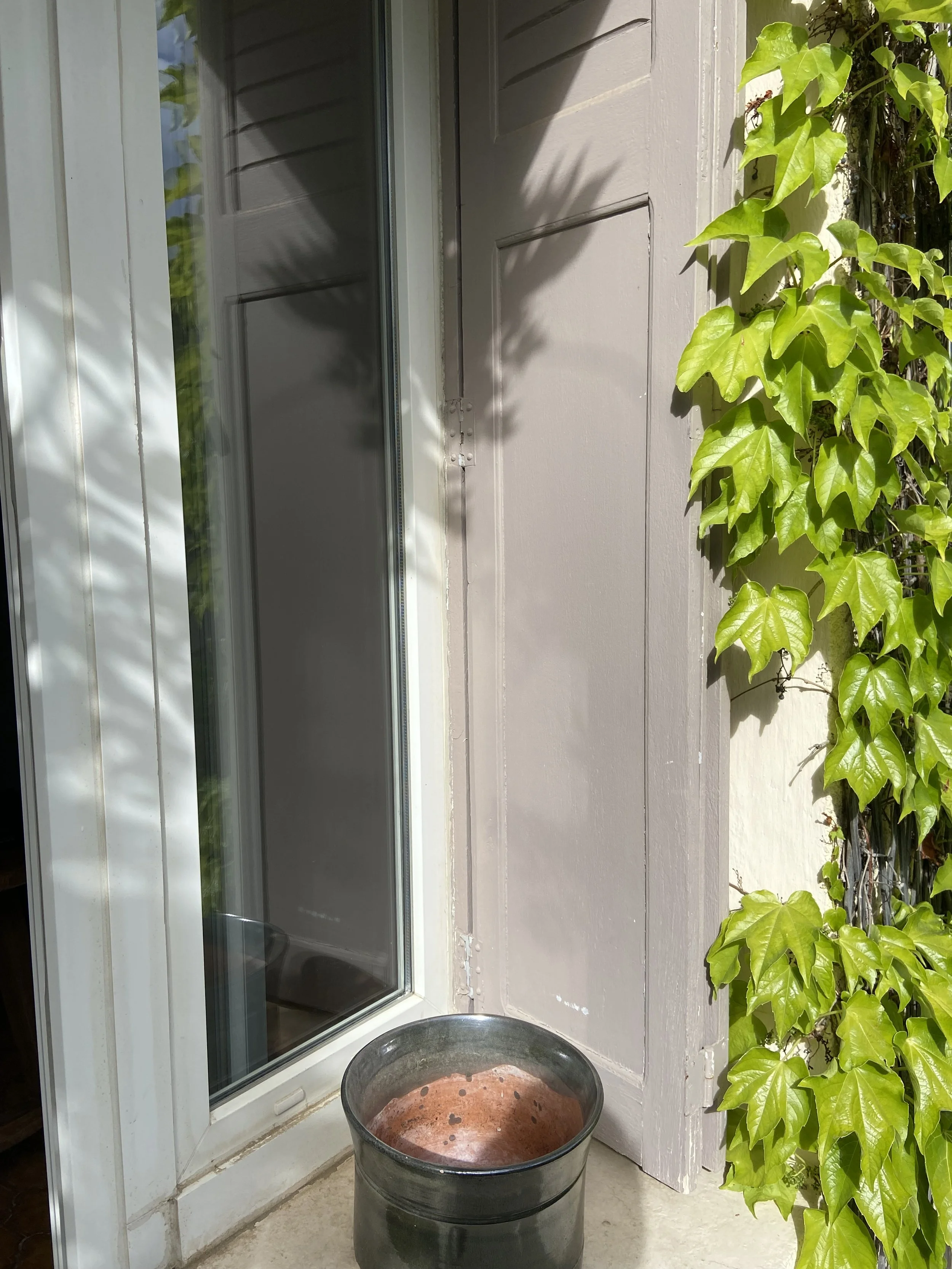 A large black metal barrel with a round top, placed on a concrete porch next to a sliding glass door. Green ivy plants are climbing up the wall on the right side of the image, illuminating with sunlight.