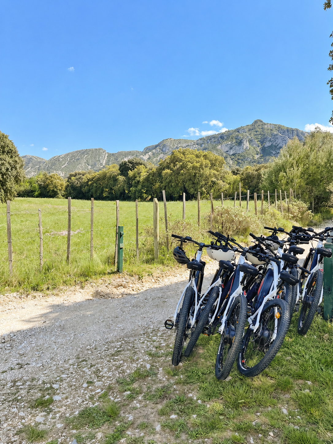 A row of bicycles parked on a dirt path next to a grassy field with a wooden fence. Mountains and trees are visible in the background under a bright blue sky.