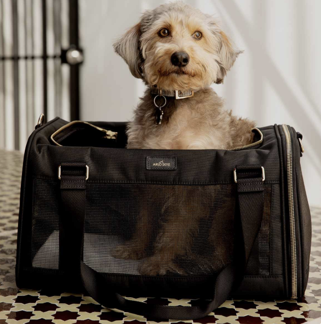 A dog sitting inside a black pet carrier on a patterned floor.