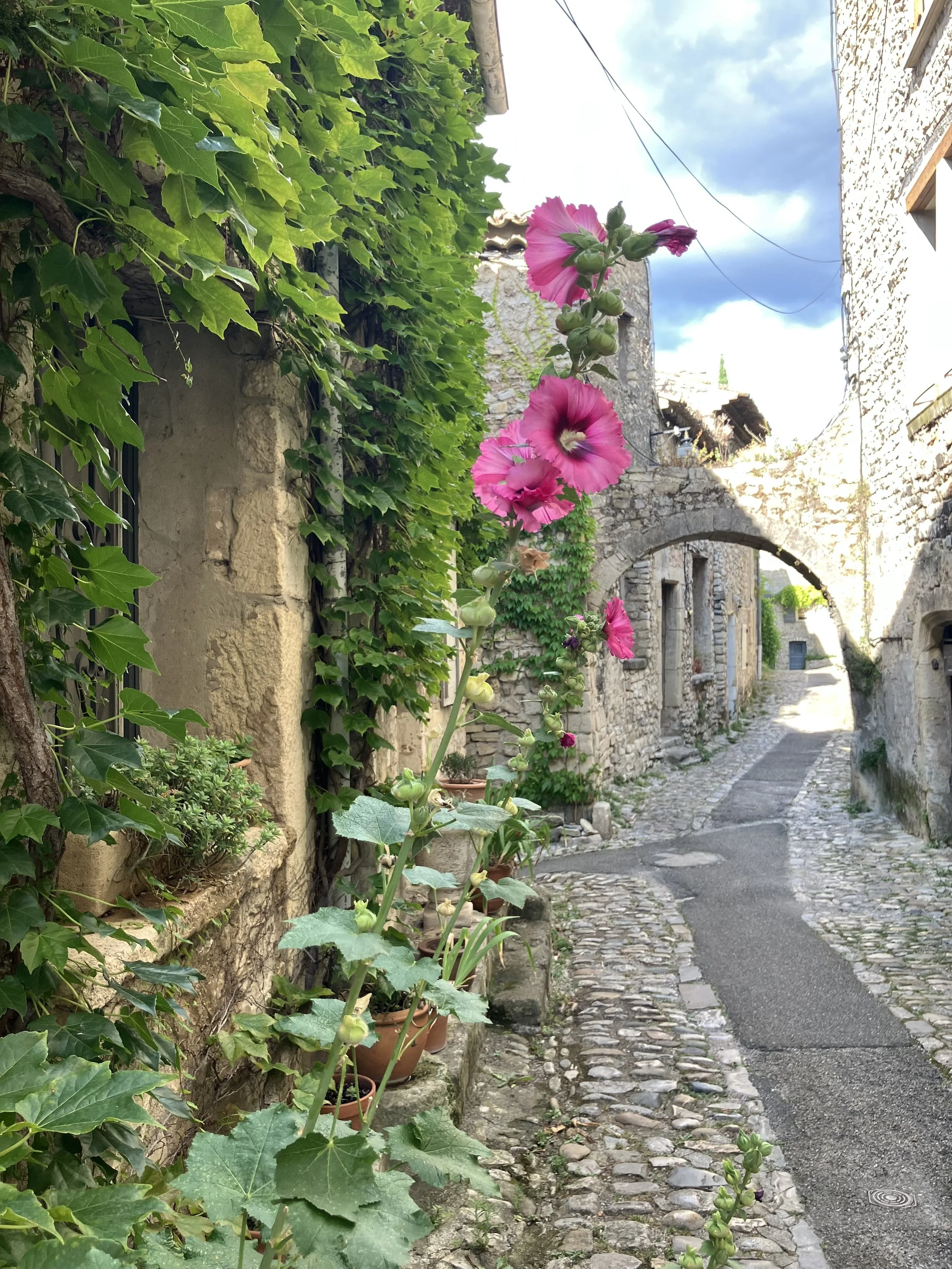 A narrow cobblestone street in an old European village, bordered by stone buildings covered in green ivy and pink flowers, with a stone archway in the background and a partly cloudy sky overhead.