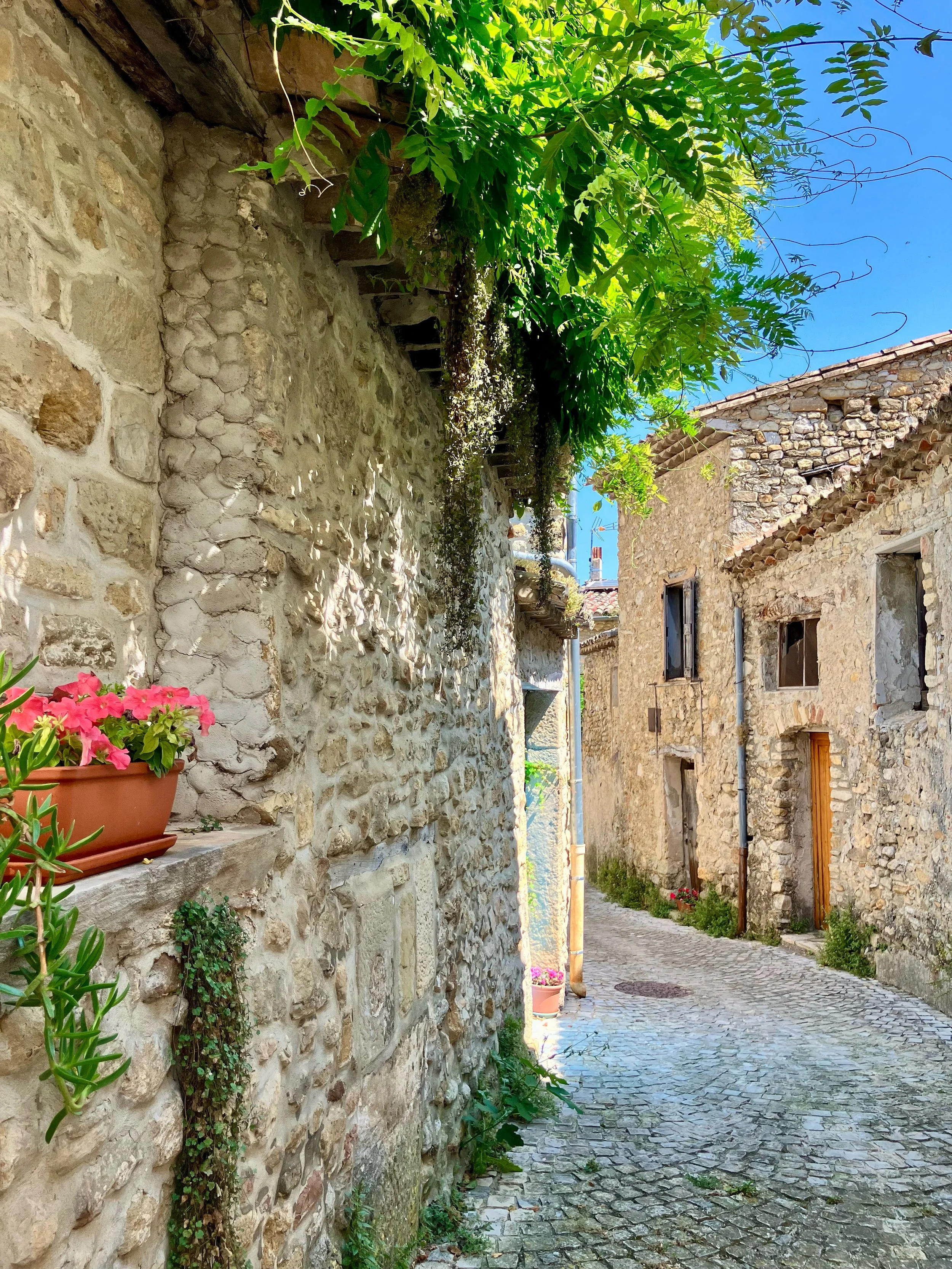 A narrow cobblestone street lined with old stone buildings on a sunny day. Green plants and flowers are visible, with a blue sky overhead.