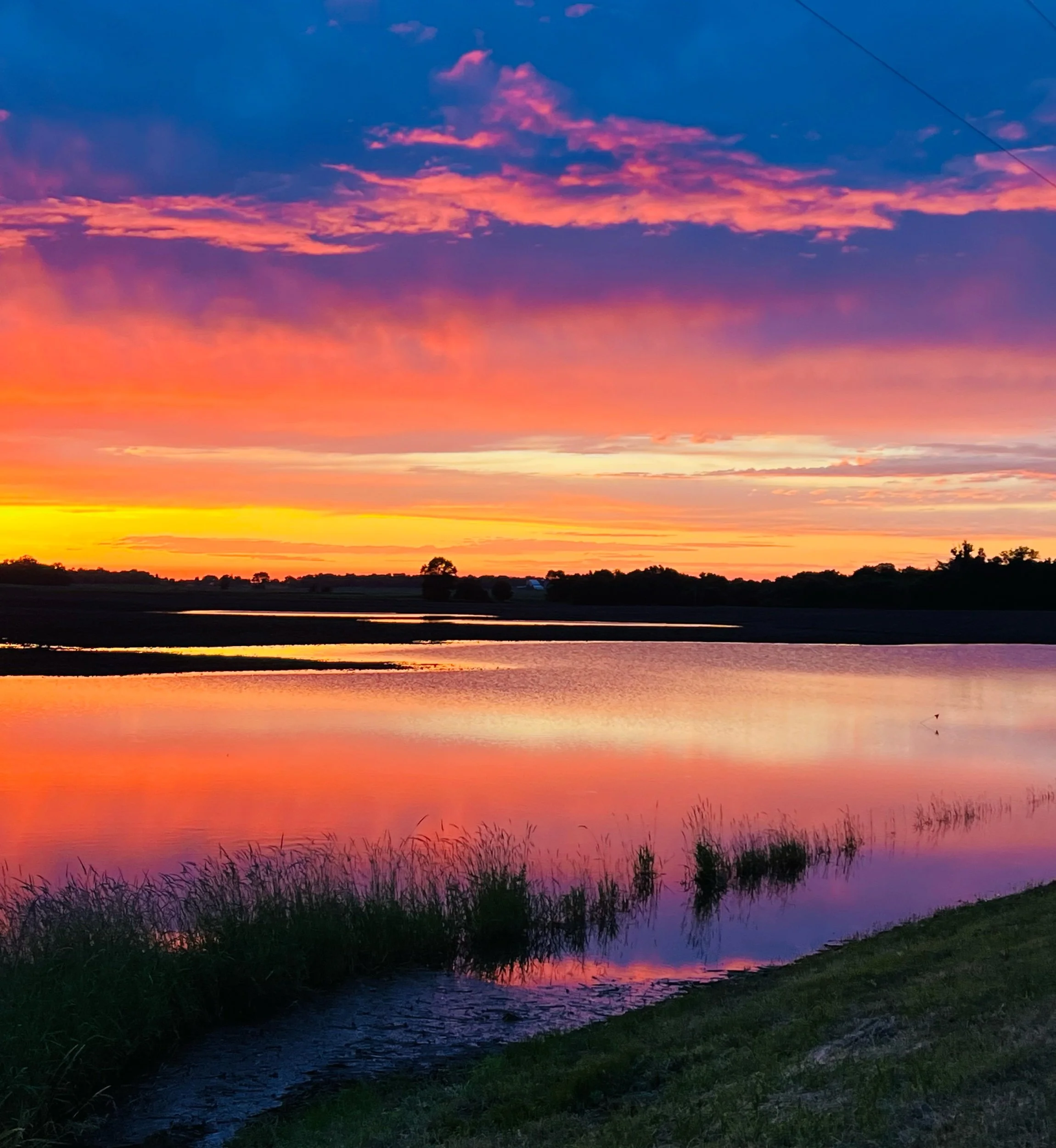 831D269A-8987-4CCA-BA70-E1AAF65D2325.jpeg