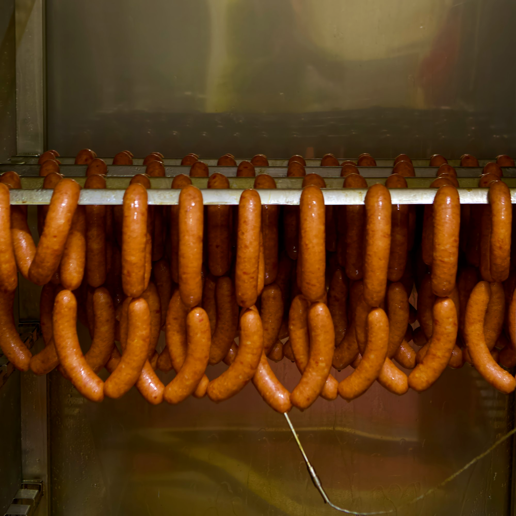 Polish Sauage
