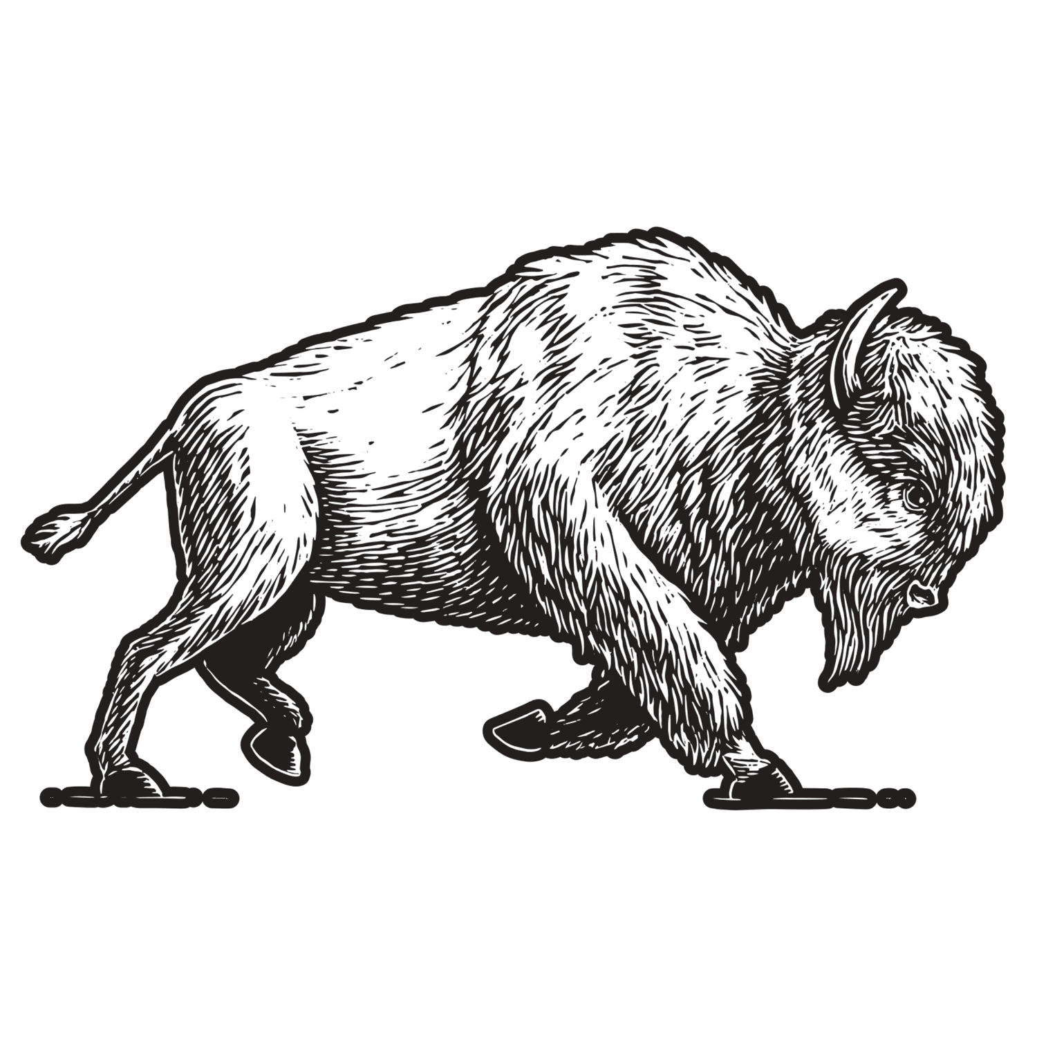 White Buffalo Yoga