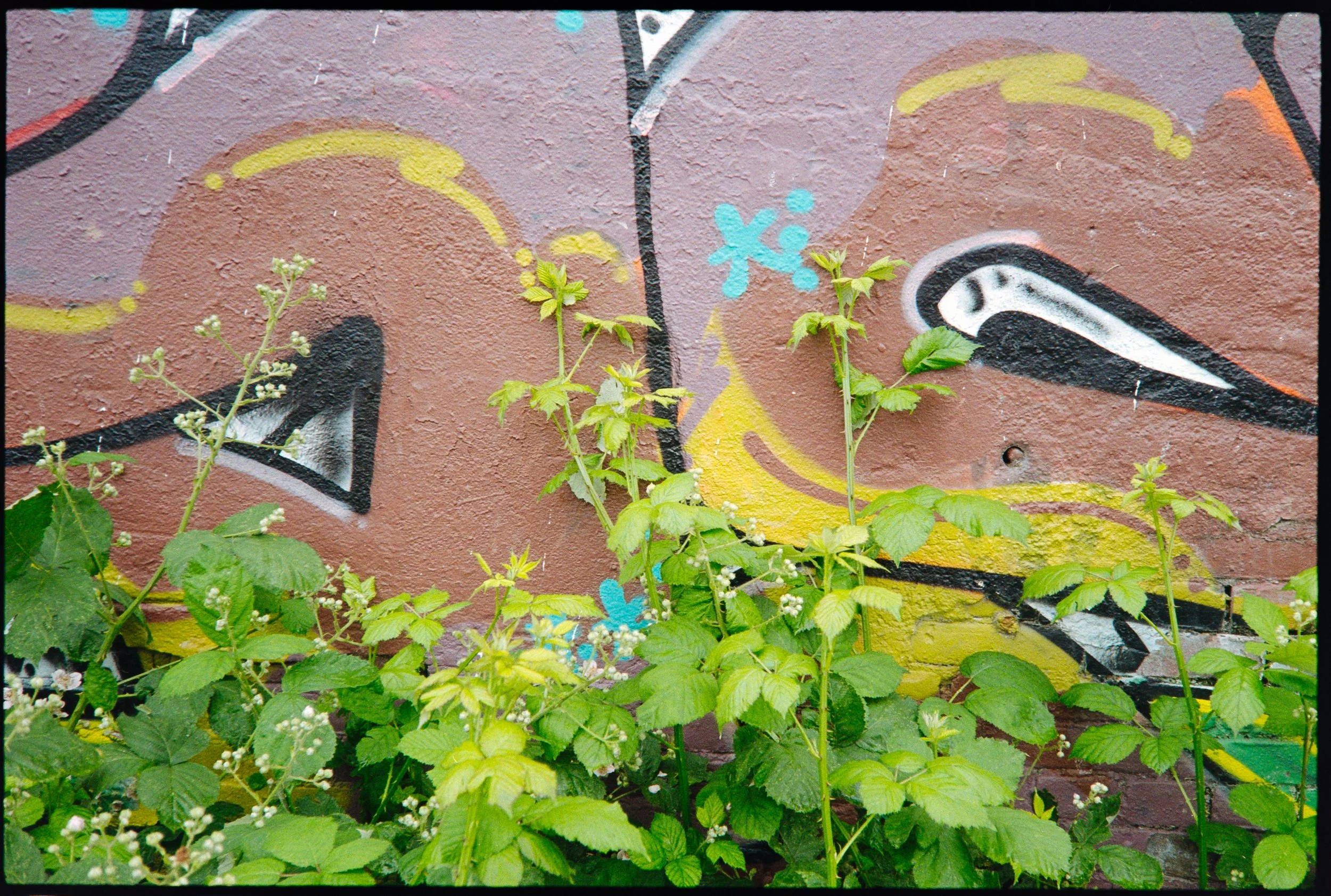 Olympus 35 RC-4401.jpg