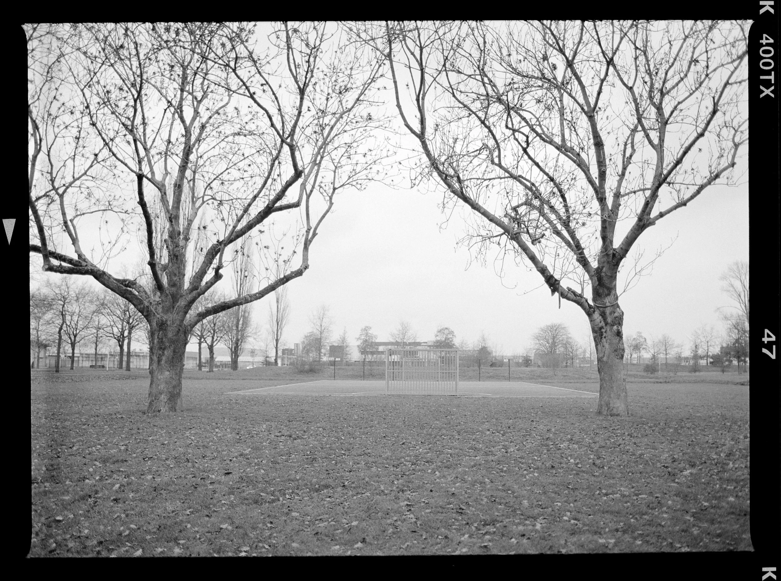 mamiya 645 park west december 2020-2290.jpg