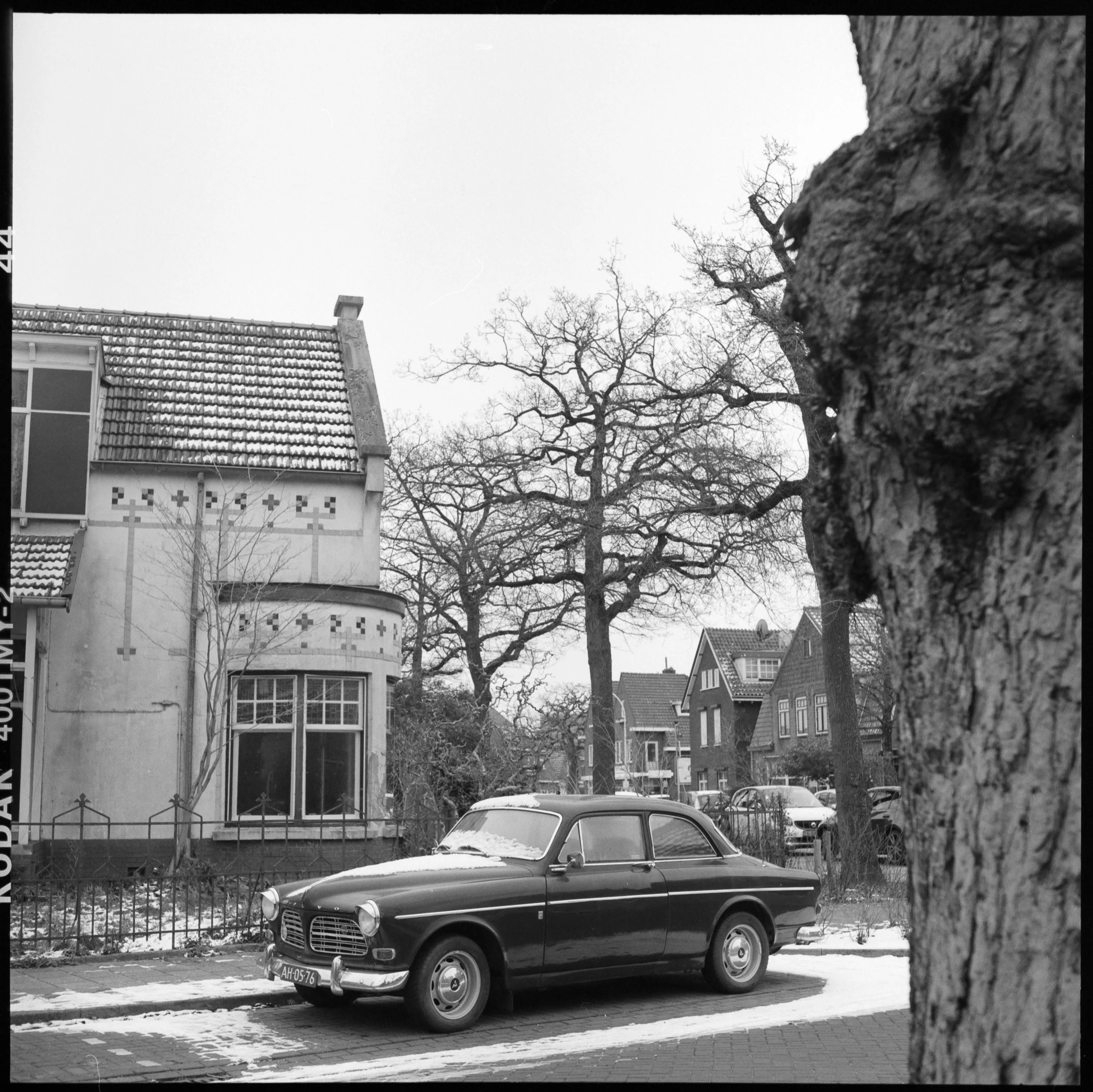 rolleicord v-1658.jpg