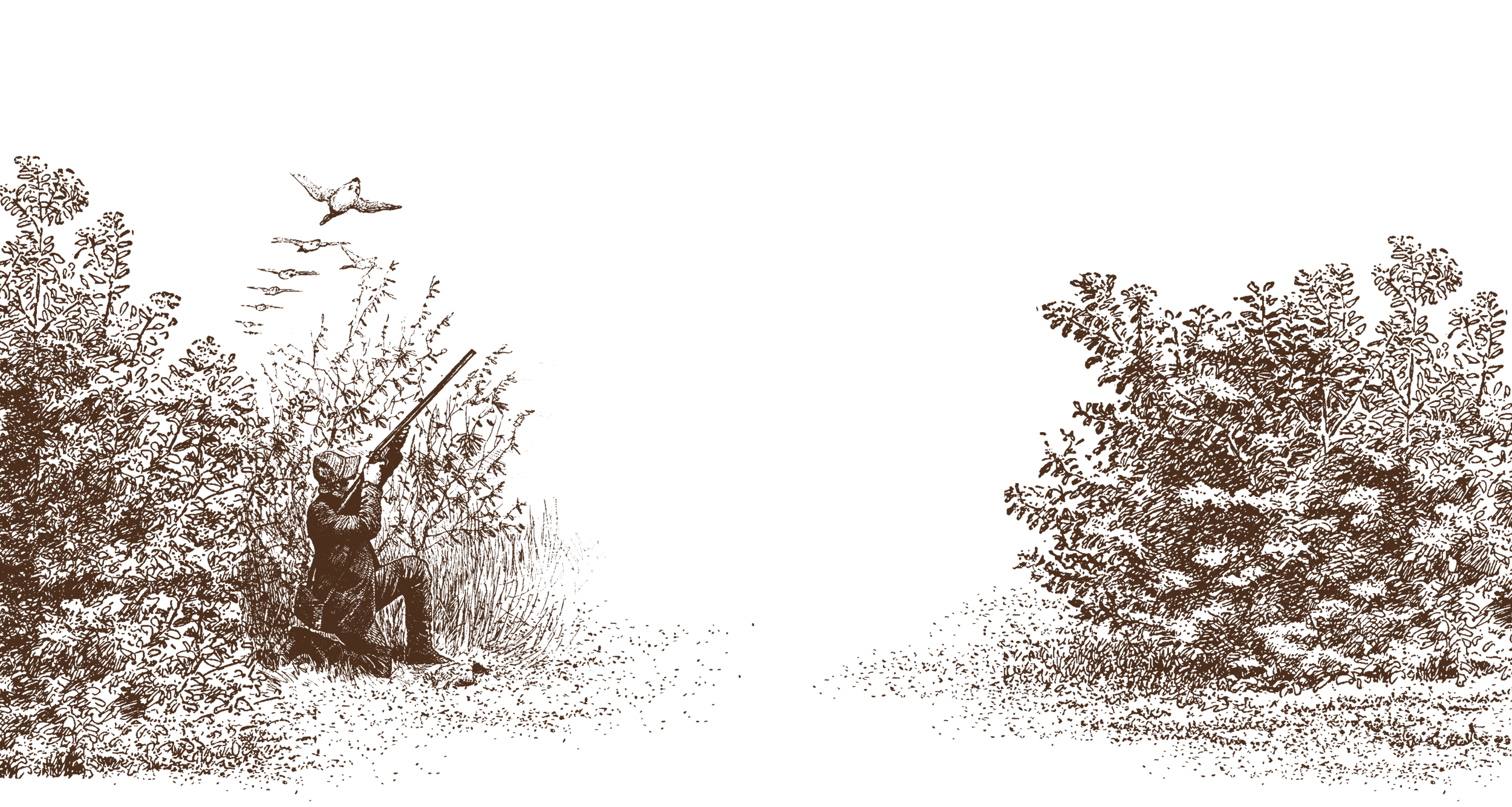 A person aiming a rifle at birds in the sky, surrounded by trees and foliage at dusk or night.