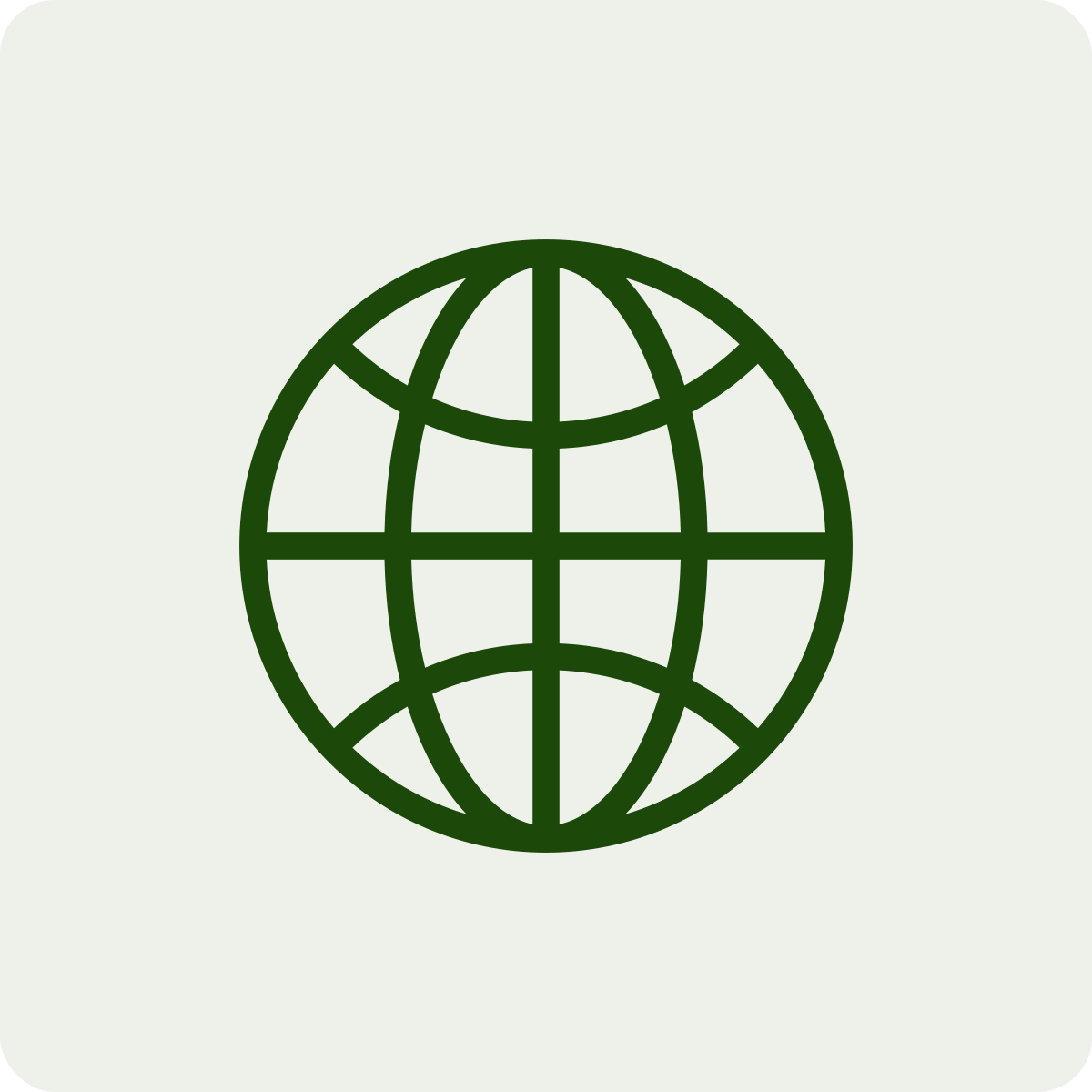 Icon of a globe with latitude and longitude lines