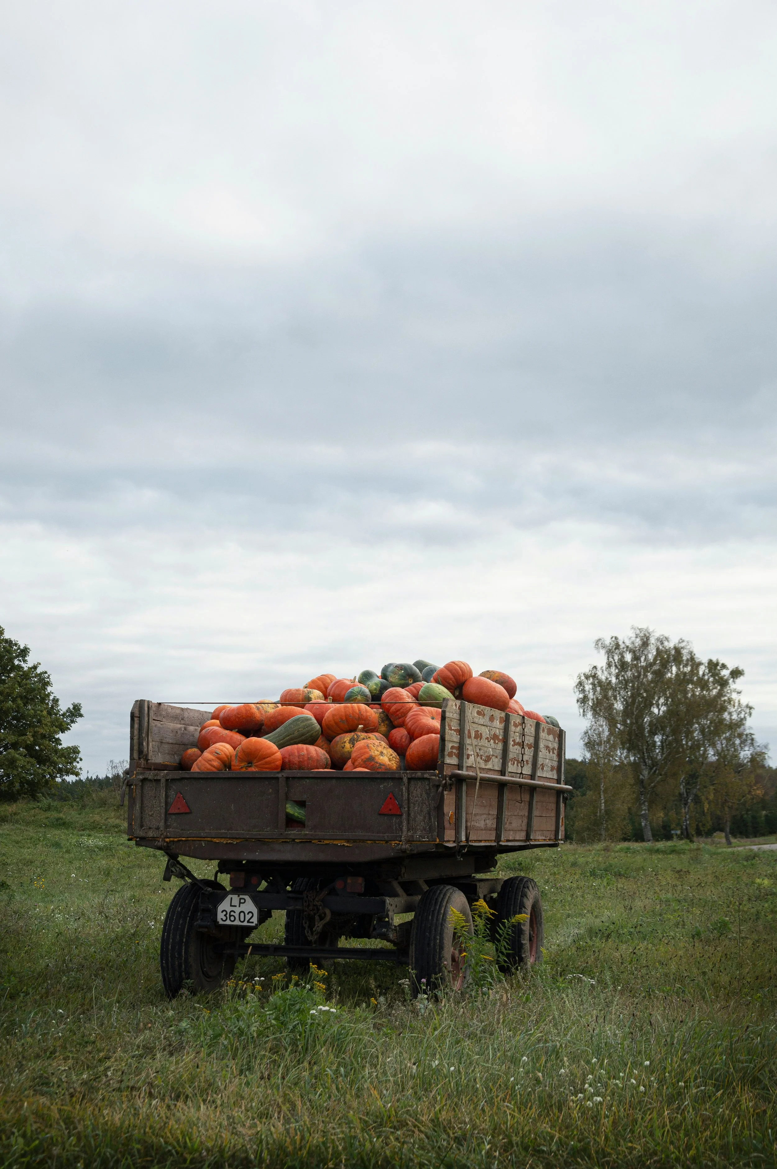 A trailer filled with assorted pumpkins on a grassy field under a cloudy sky.