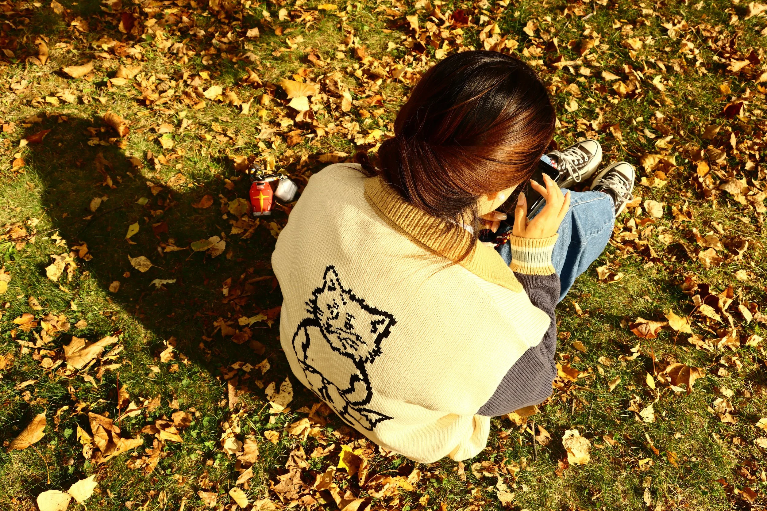 A person with brown hair wearing a yellow sweater with a black star design sitting on grass covered with fallen autumn leaves, looking at a smartphone.