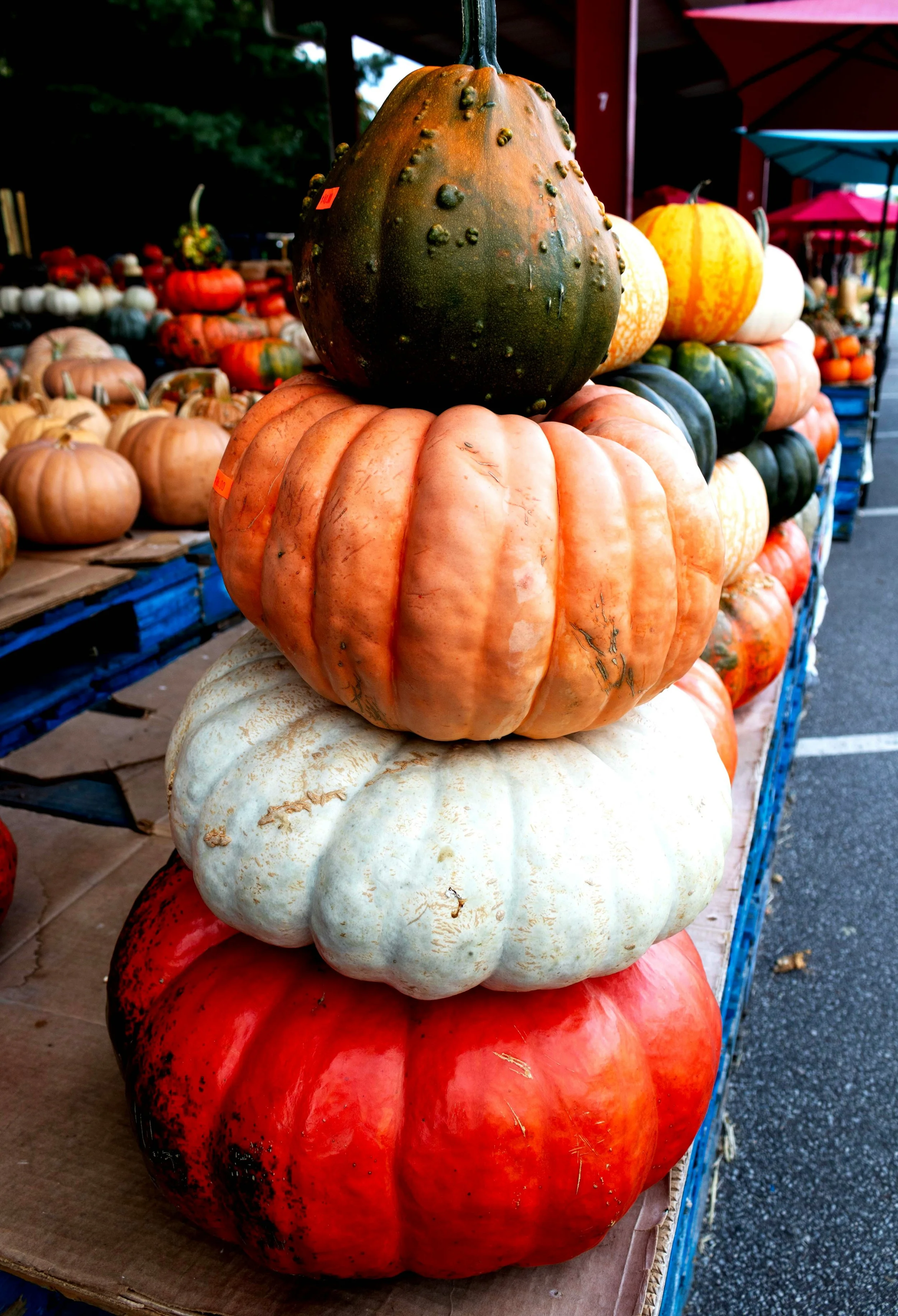 Stacked pumpkins of various shapes and colors at an outdoor market, with a large green and orange gourd on top and smaller pumpkins below, with tents in the background.
