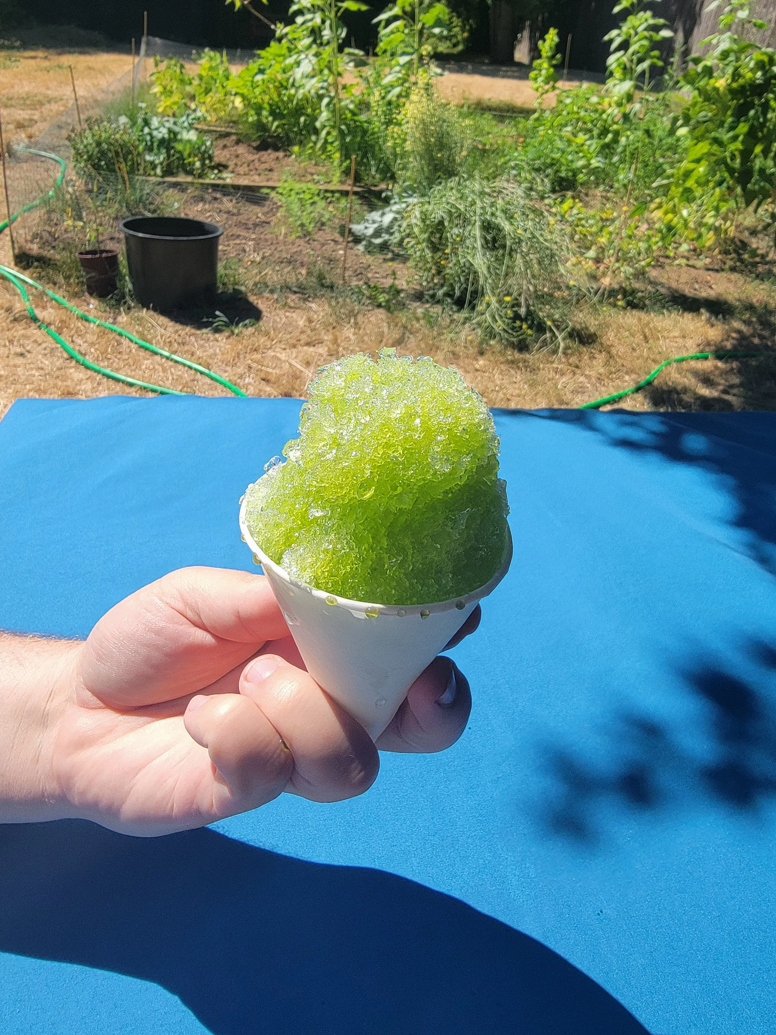 Shaved Ice - Lime