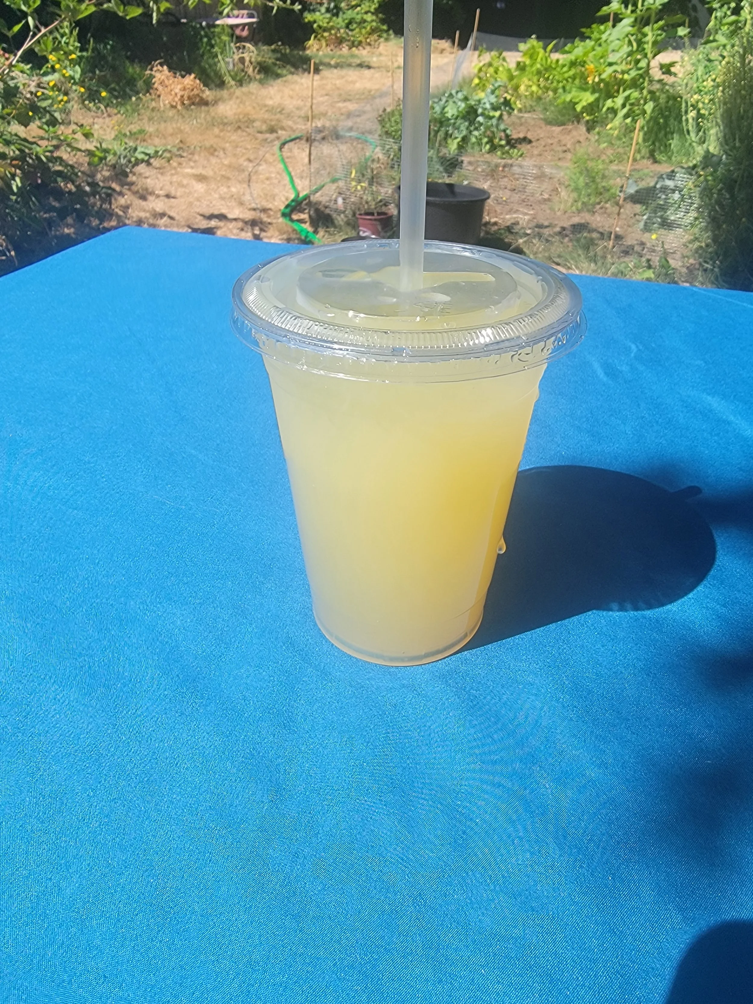 Ginger Orange Lemonade