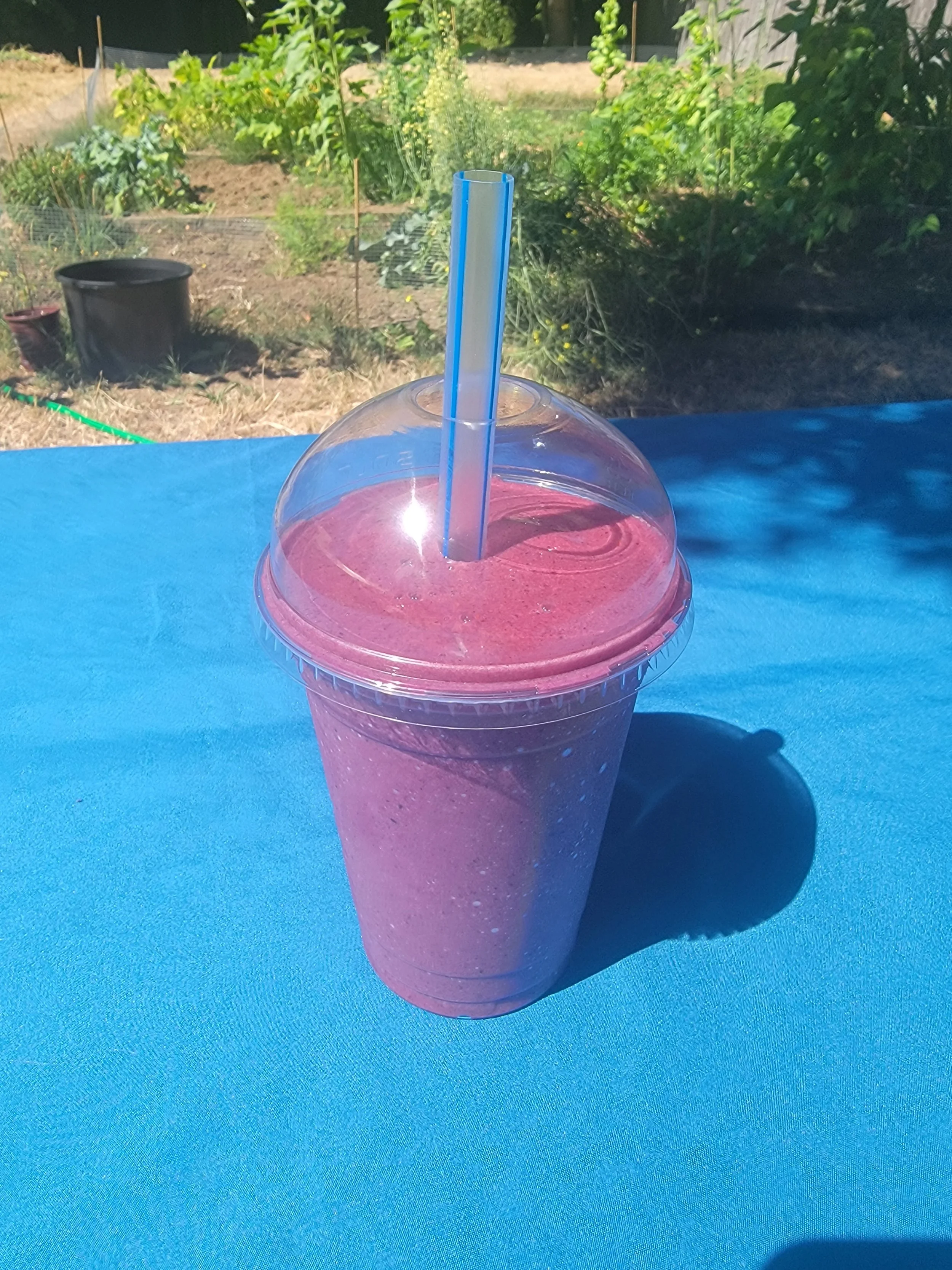 Oregon Berry