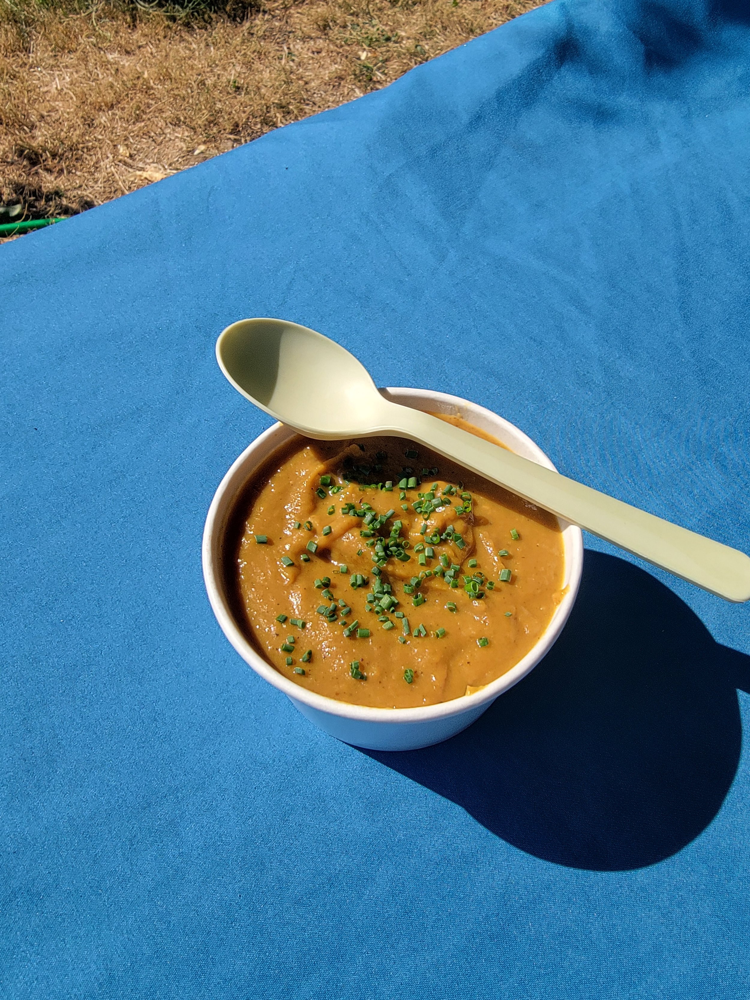 Curried Pumpkin Soup.jpg