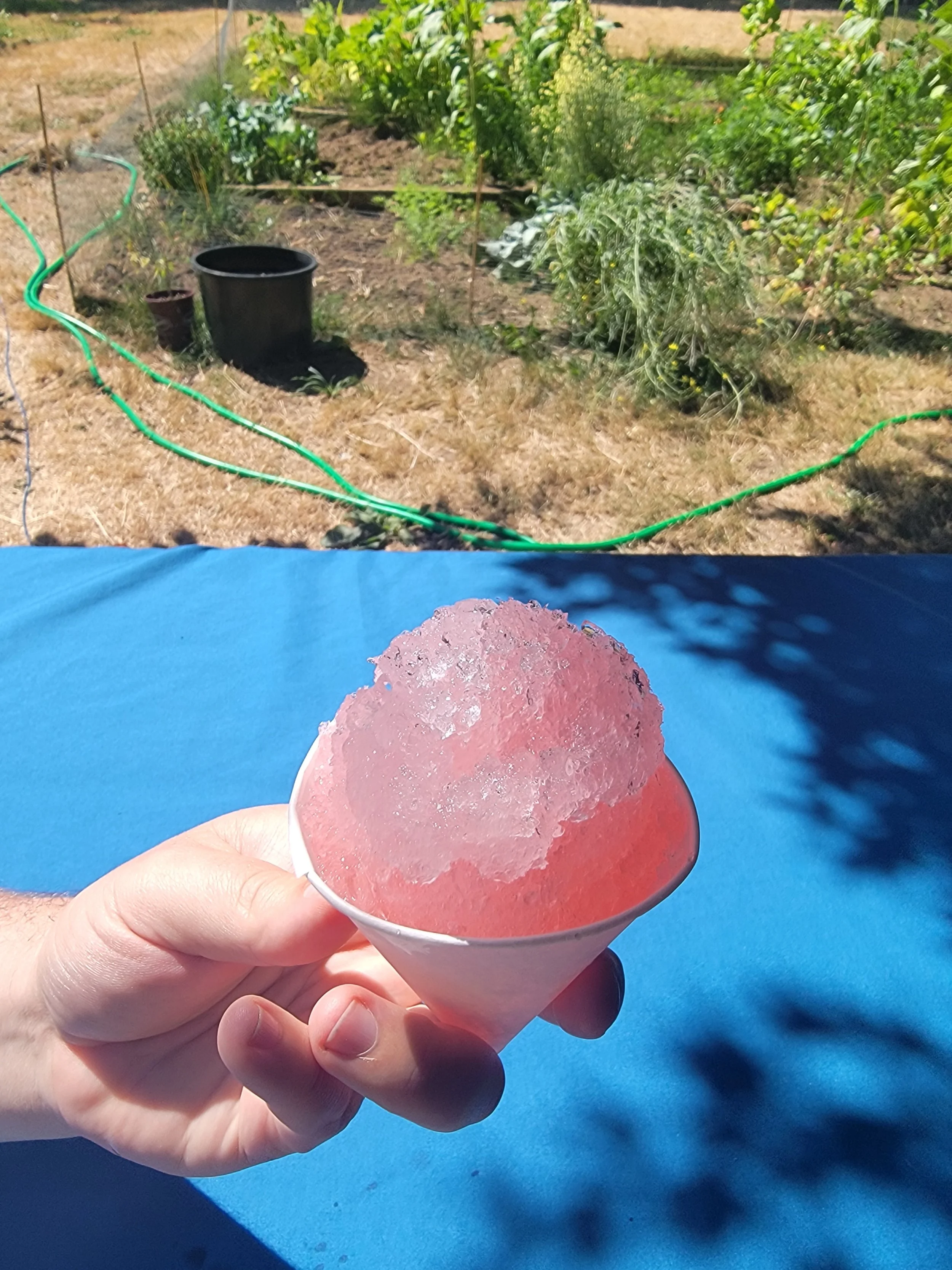 Shaved Ice - Watermelon