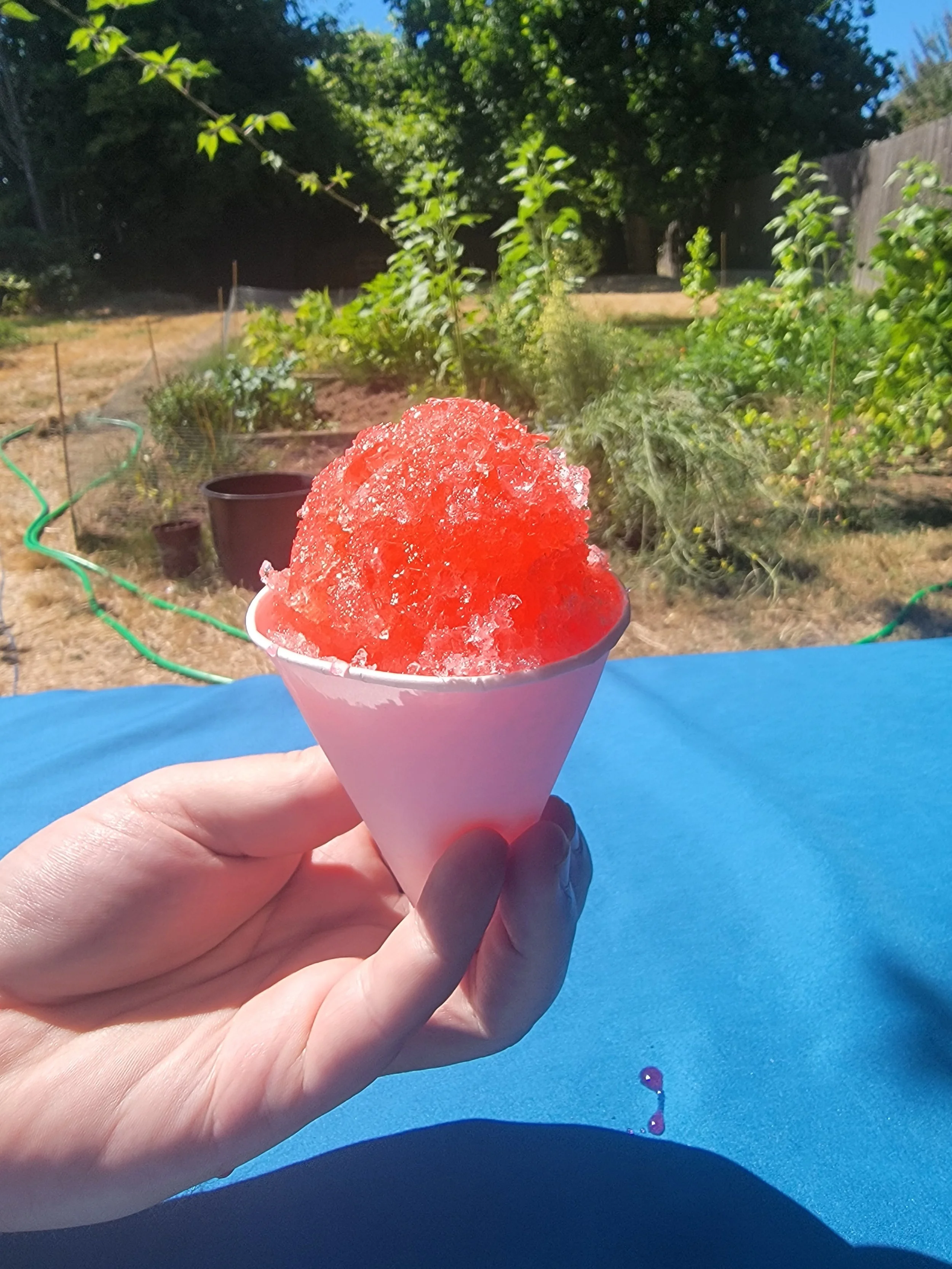 Shaved Ice - Cherry