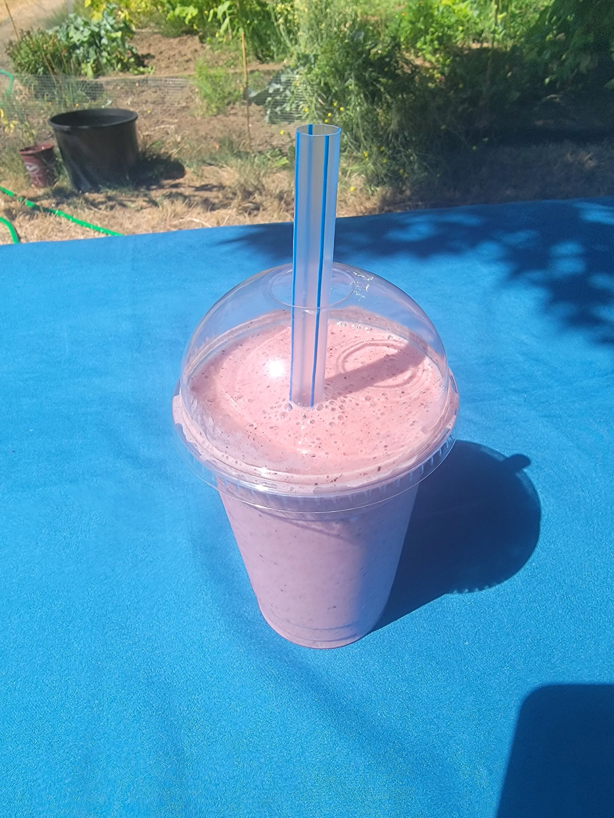 Very Berry Mangos & Cream