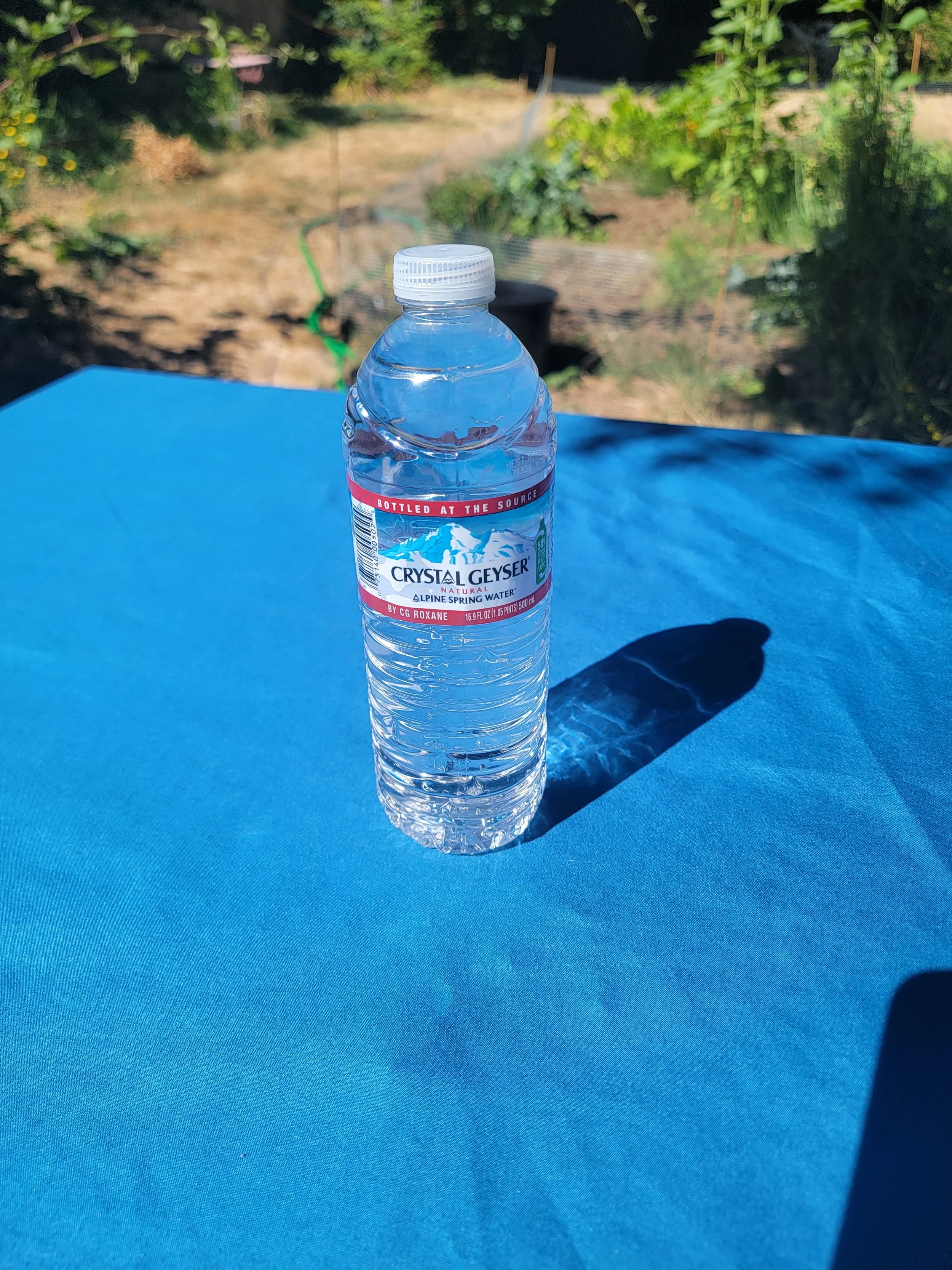 Bottle of Water