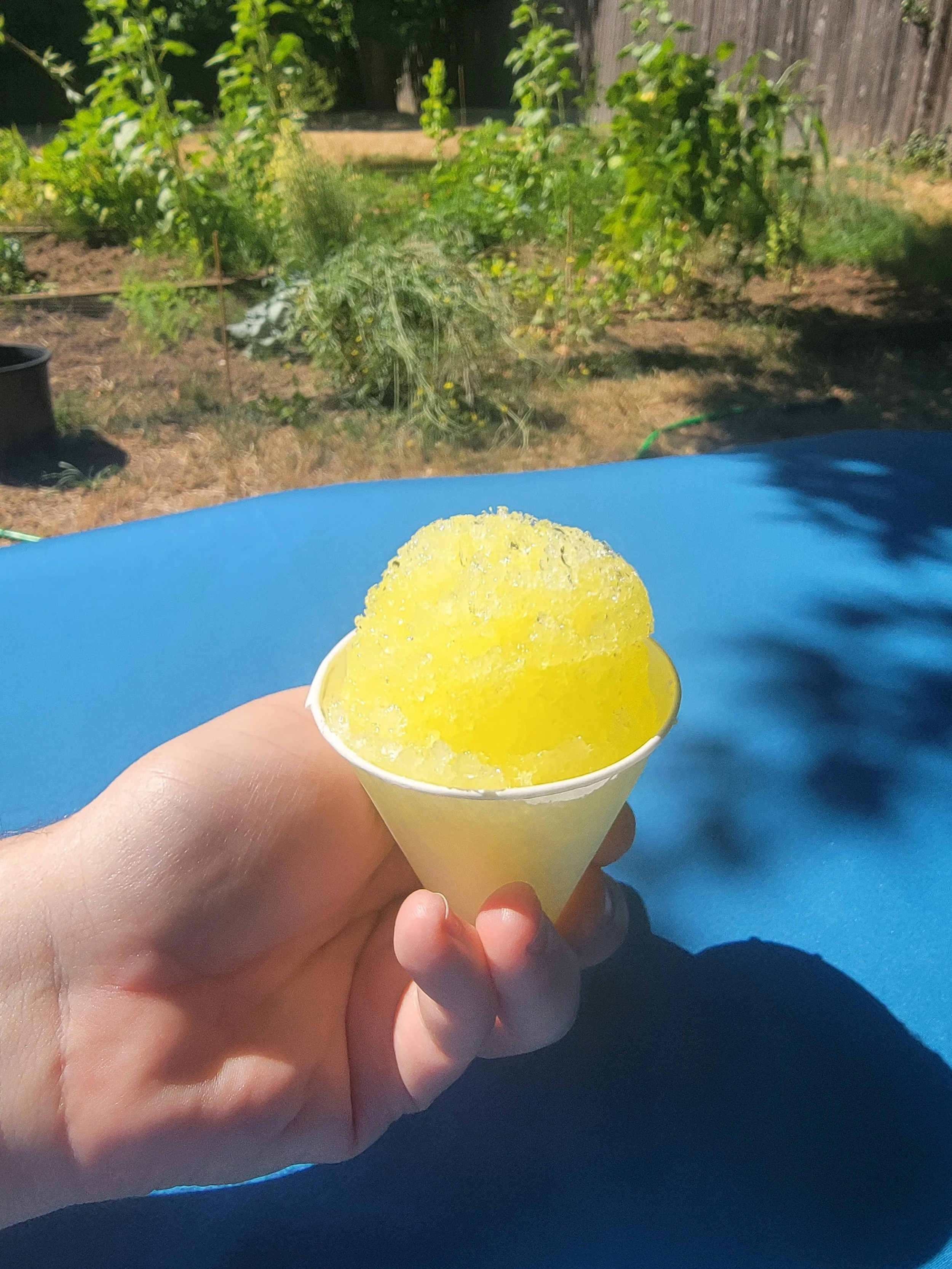 Shaved Ice - Lemon