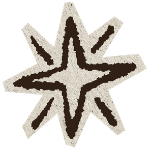 A star-shaped object with black edges and a textured white interior.