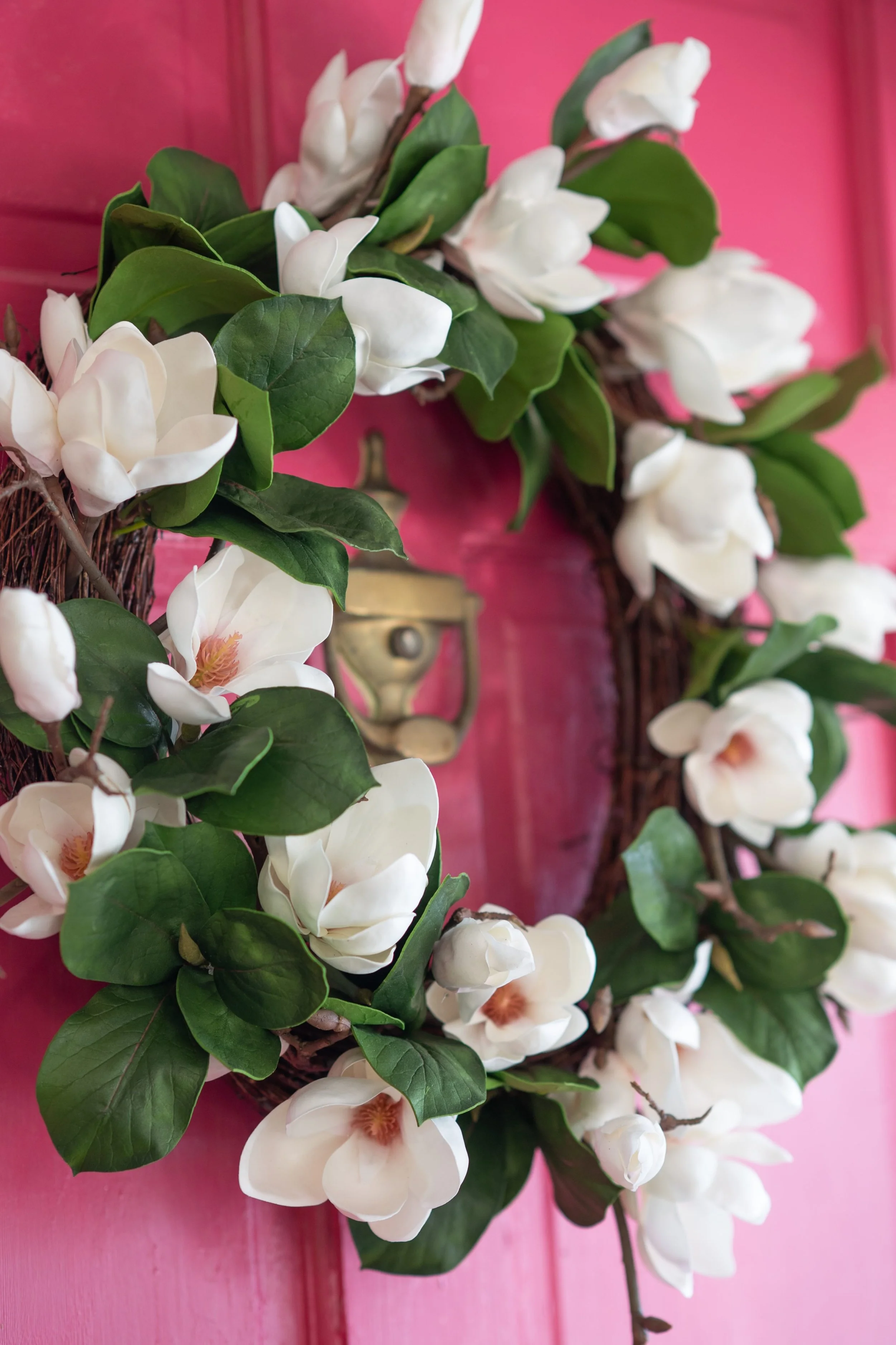 A floral arrangement of white magnolia flowers with green leaves, displayed against a pink background.