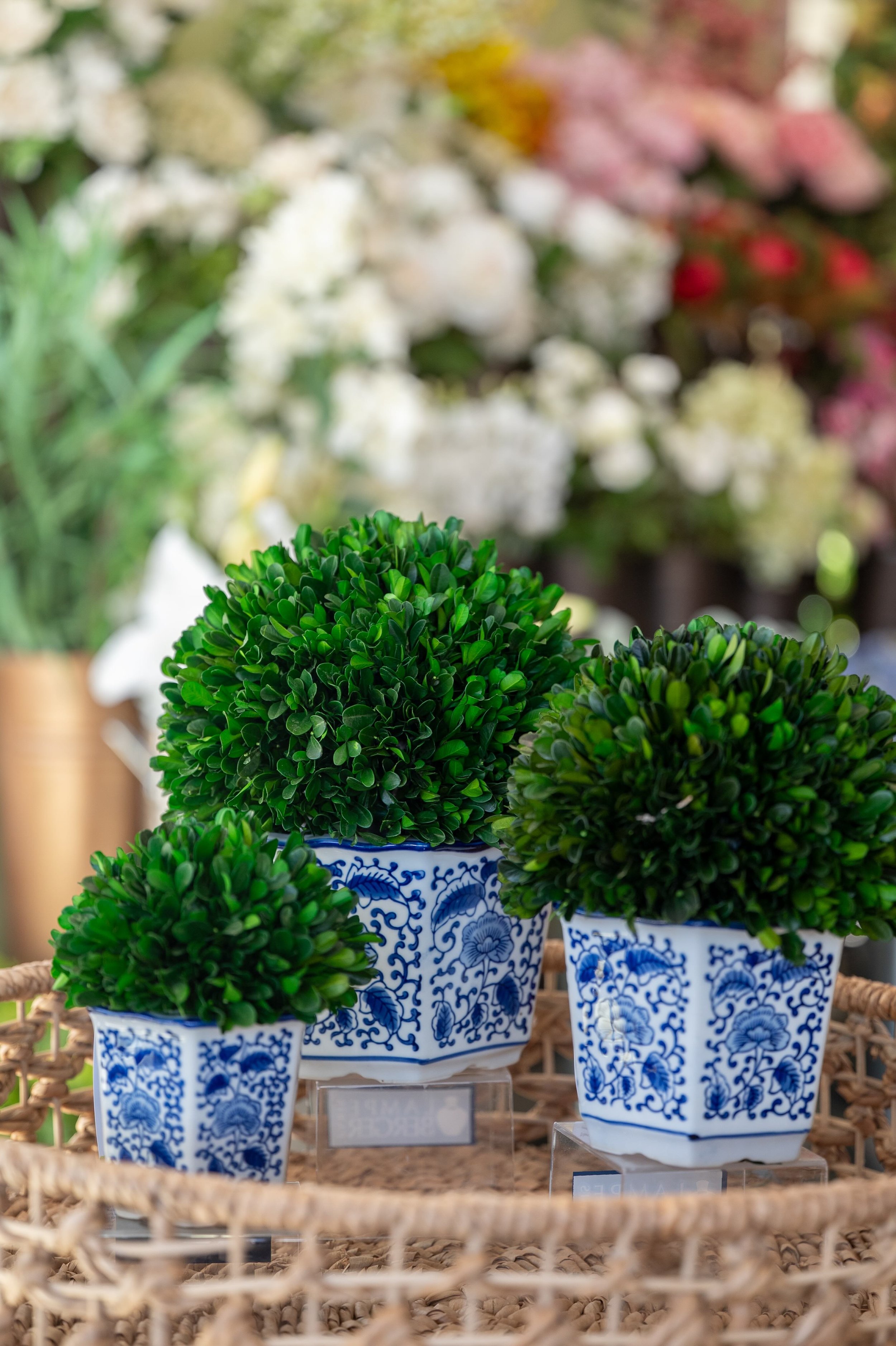 topiaries-boxwood.jpeg