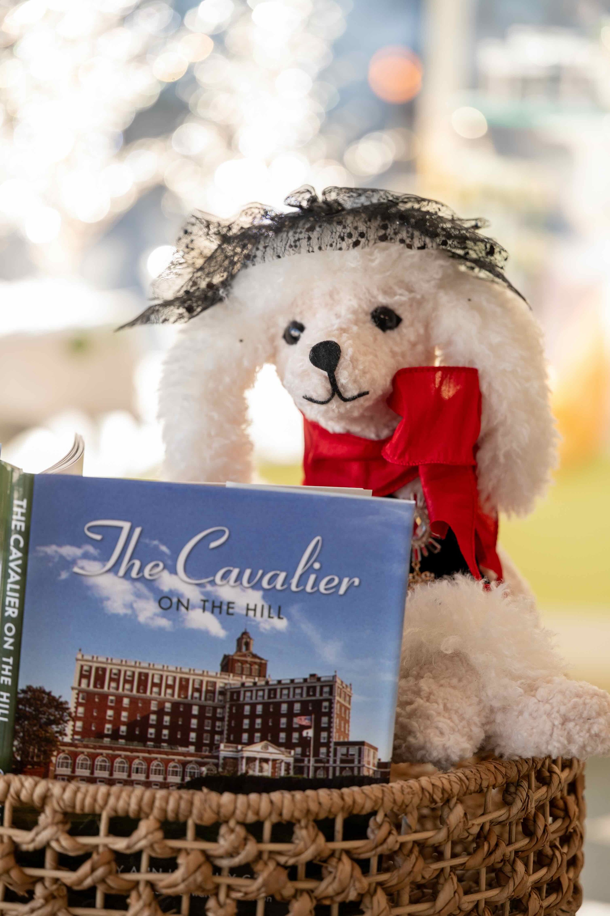 dog-cavalier-book.jpeg