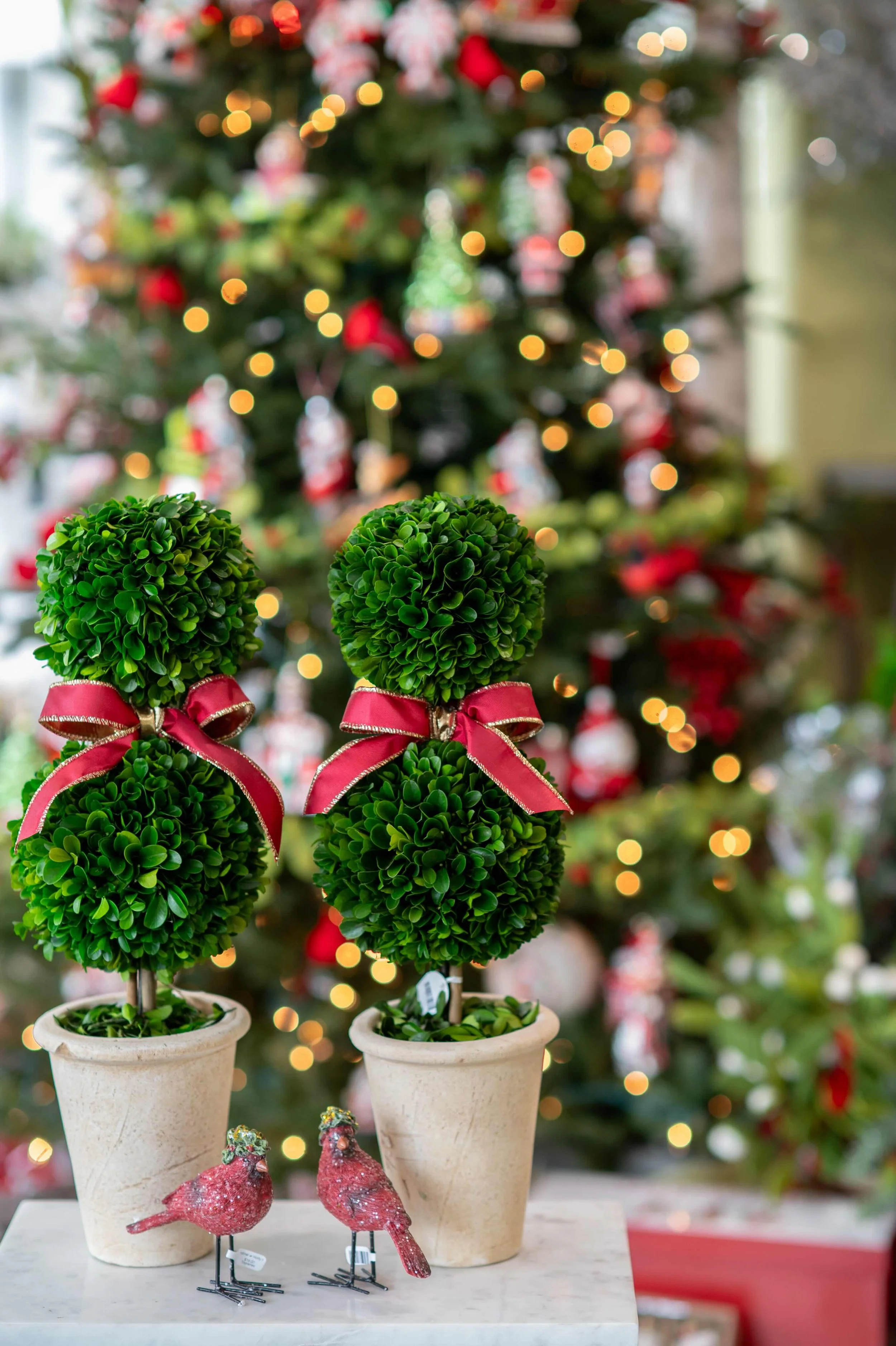 christmas-topiaires.jpeg