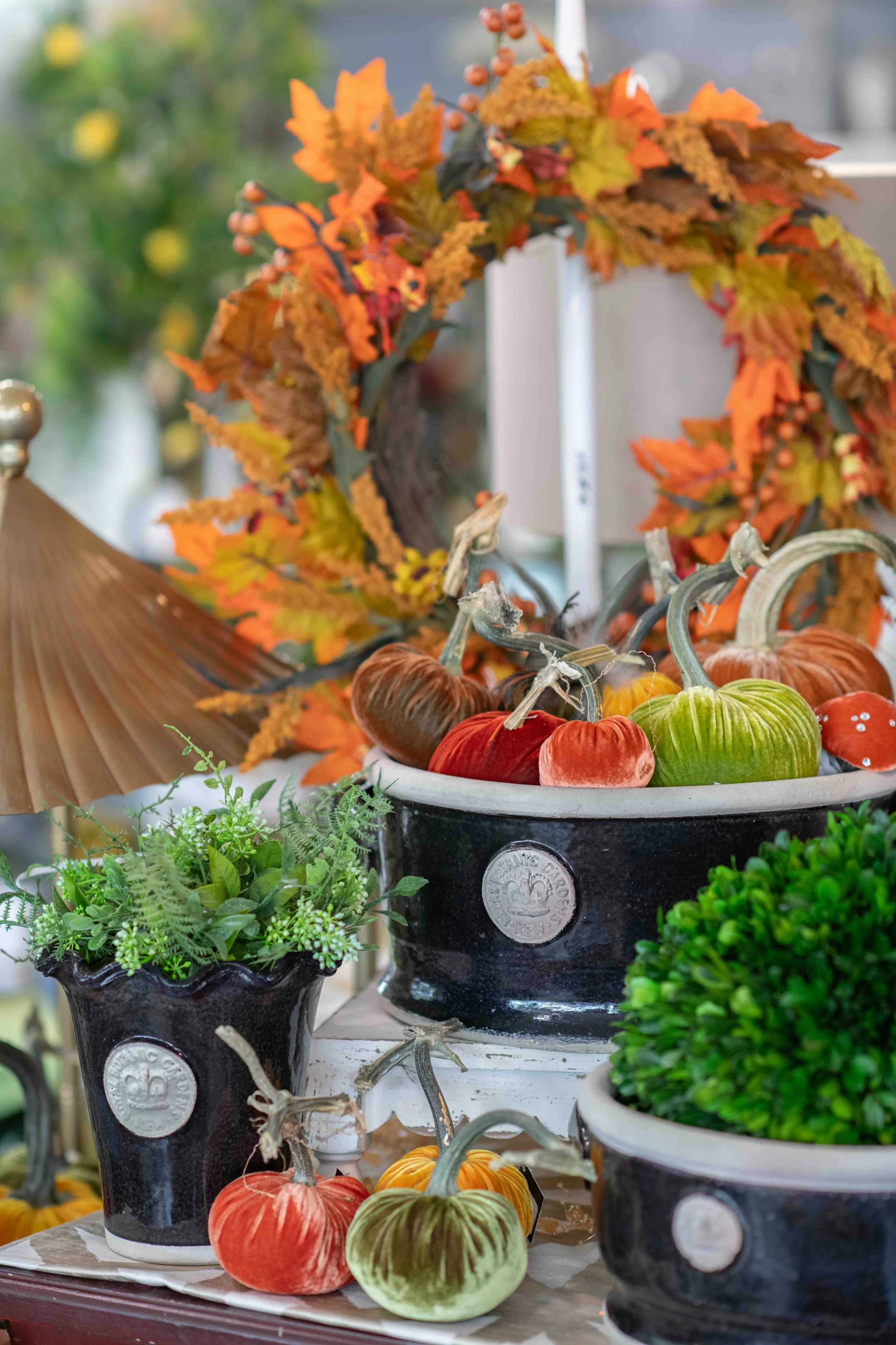black-kew-pots-fall.jpeg