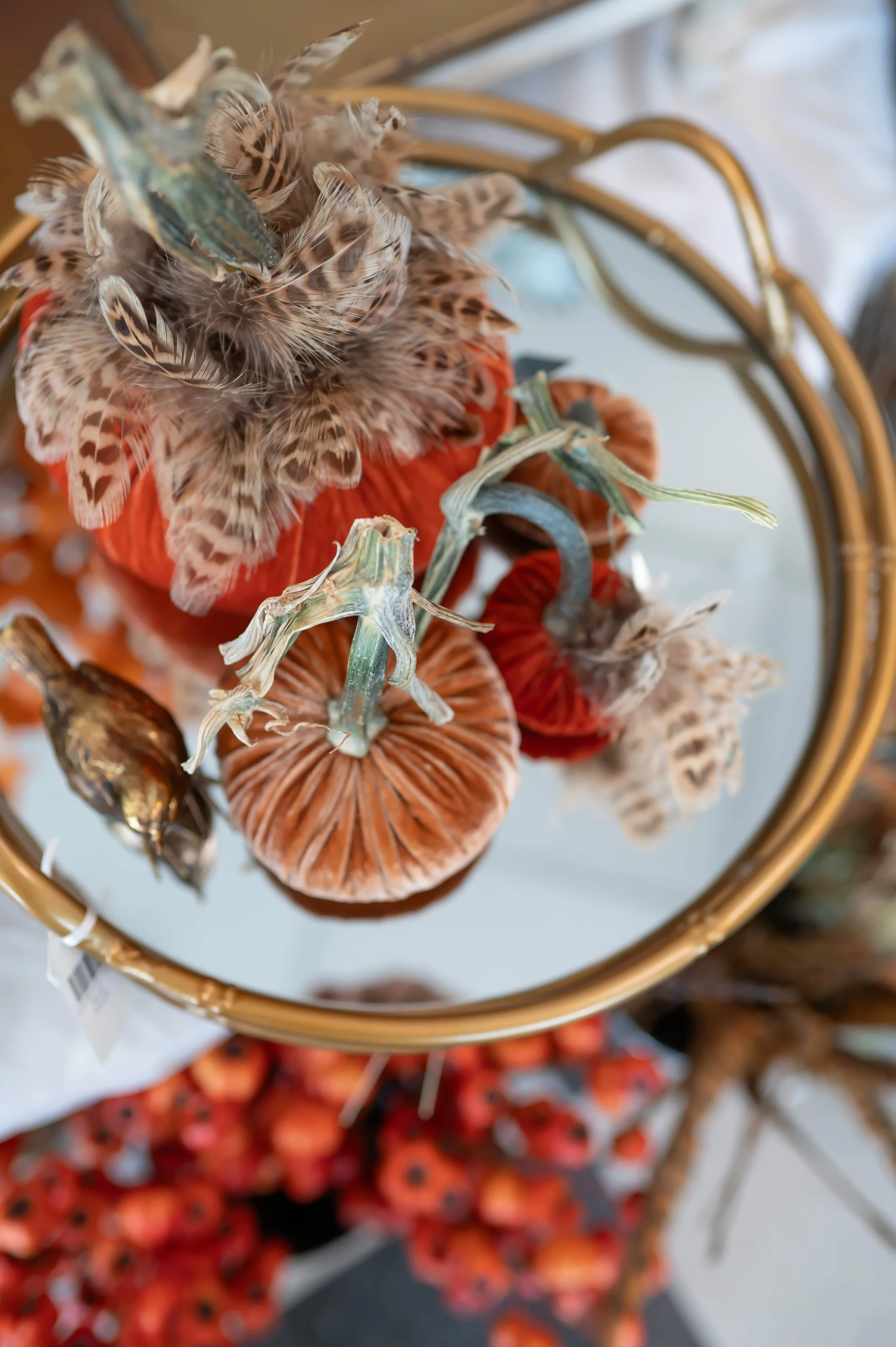 Arrangement of small decorative pumpkins, gourds, and feathers on a reflective round surface, with a background of orange berries.