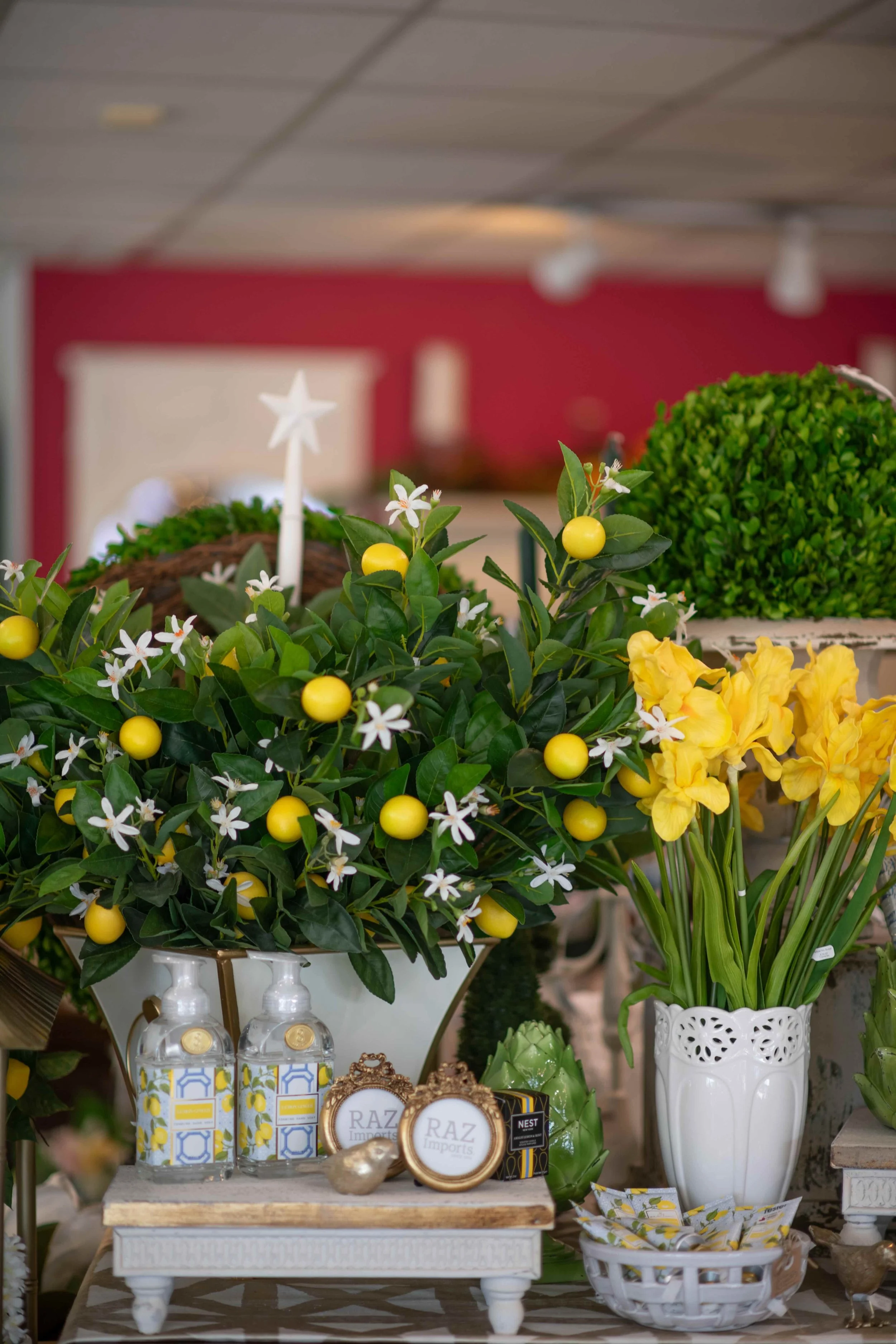 Decorative display of plants, including a green shrub, lemon-themed items, and various small bottles and jewelry on a table, with a red wall in the background.
