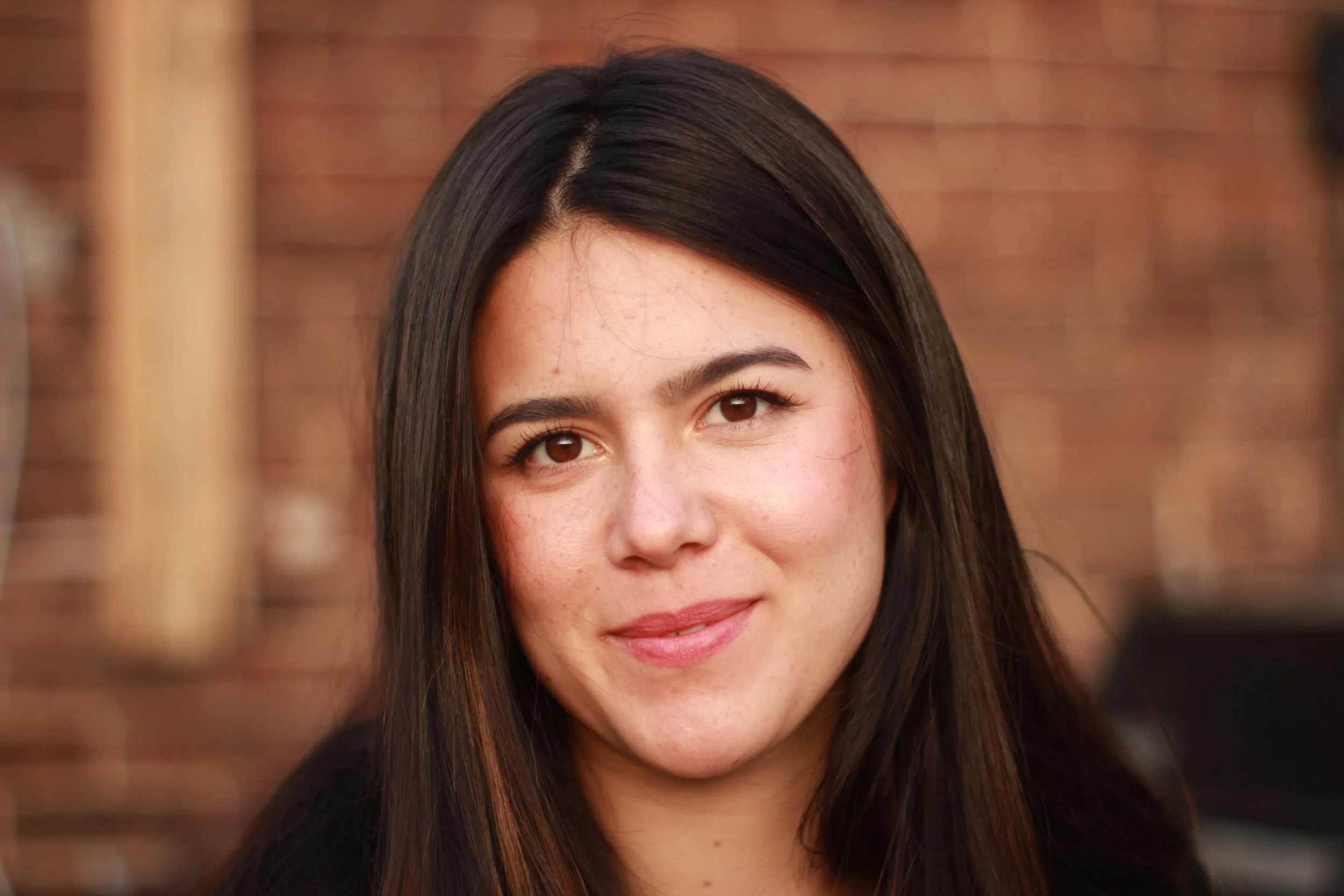 Close-up of a woman with long brown hair, brown eyes, and a slight smile, with a brick wall in the background. New York Therapist. Woman.