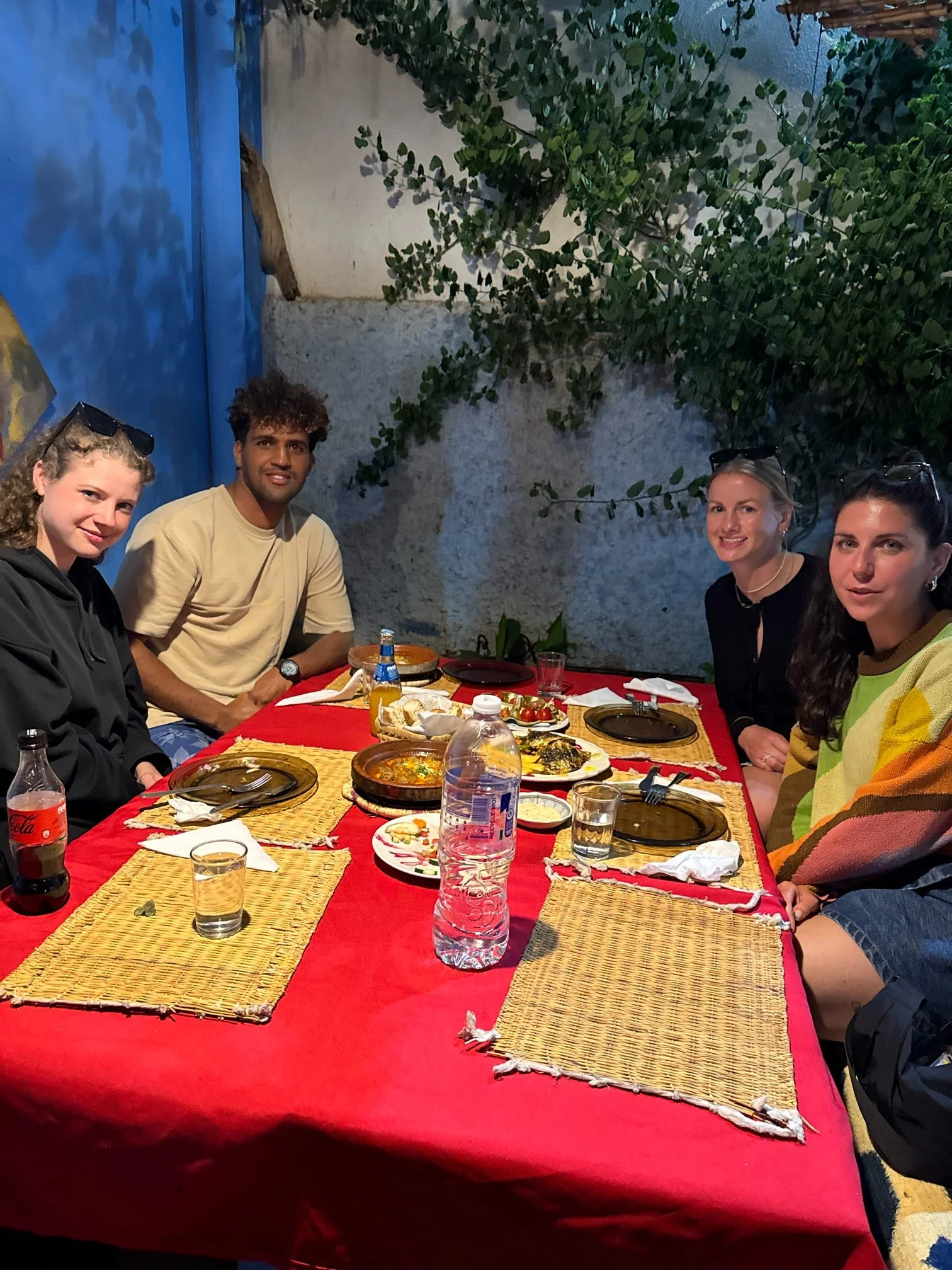 People sitting around a dinner table outdoors, with food and drinks, under a tree with green leaves, and a stone wall in the background.