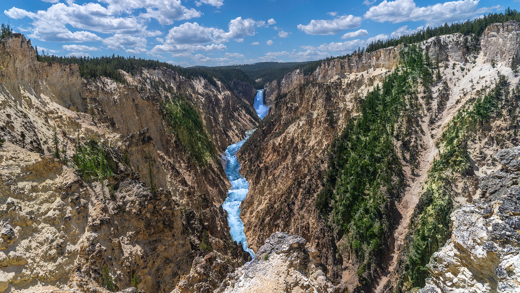 Yellowstone Falls