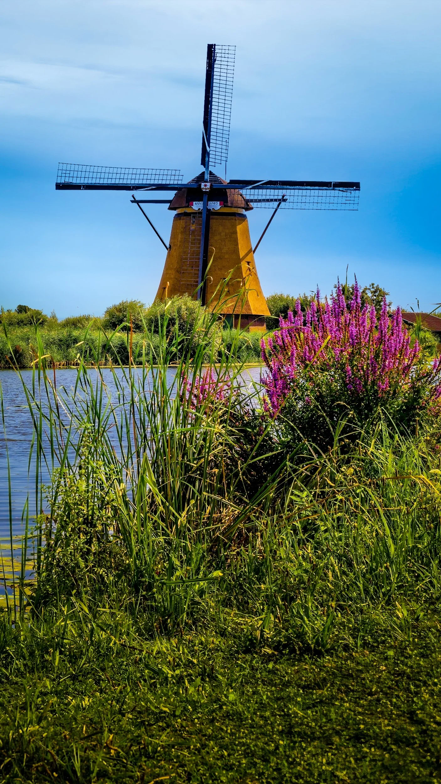 Kinderdijt Windmill Red Flowers.jpg
