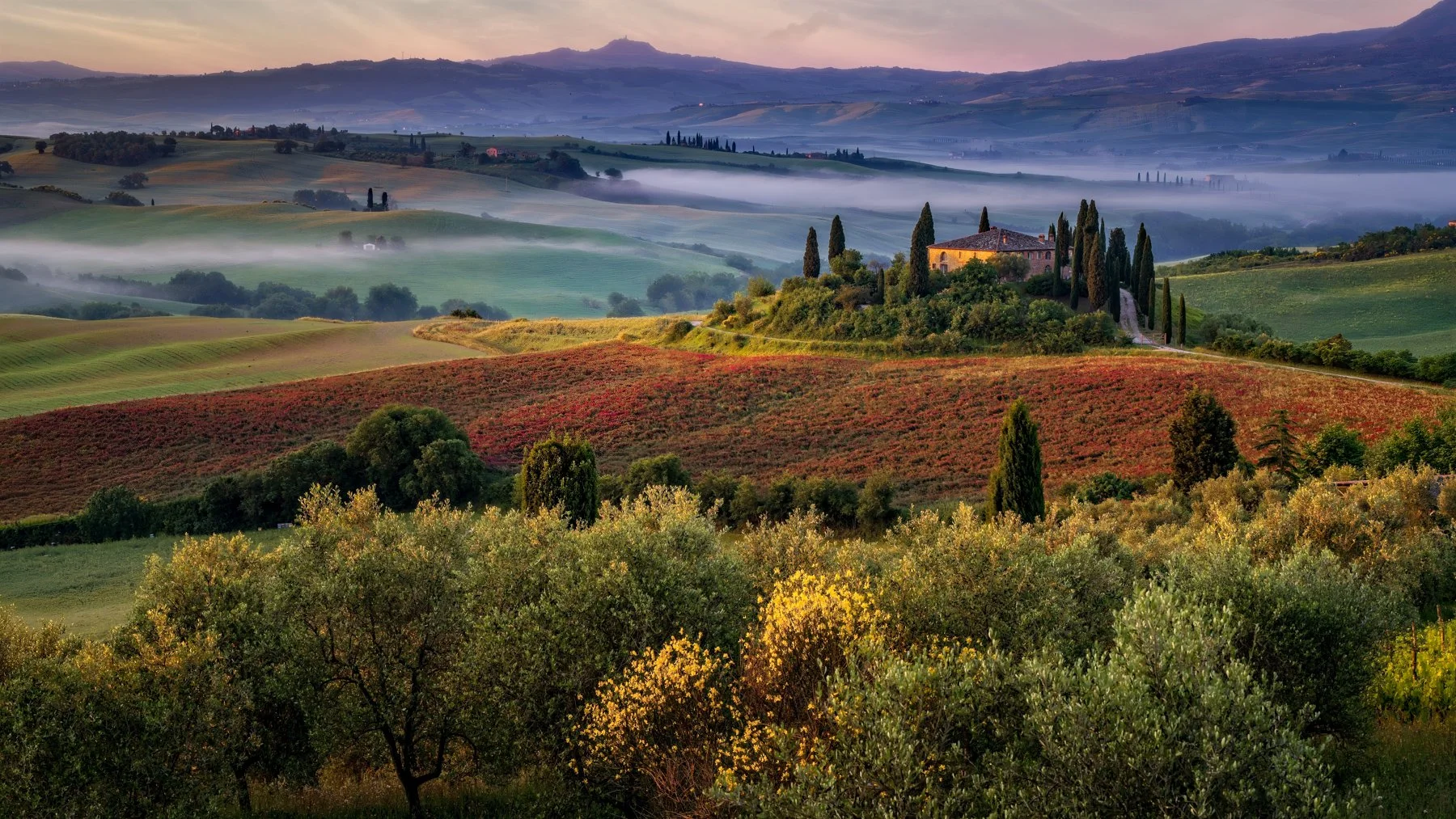 Tuscan Hills in Val d'Orcia