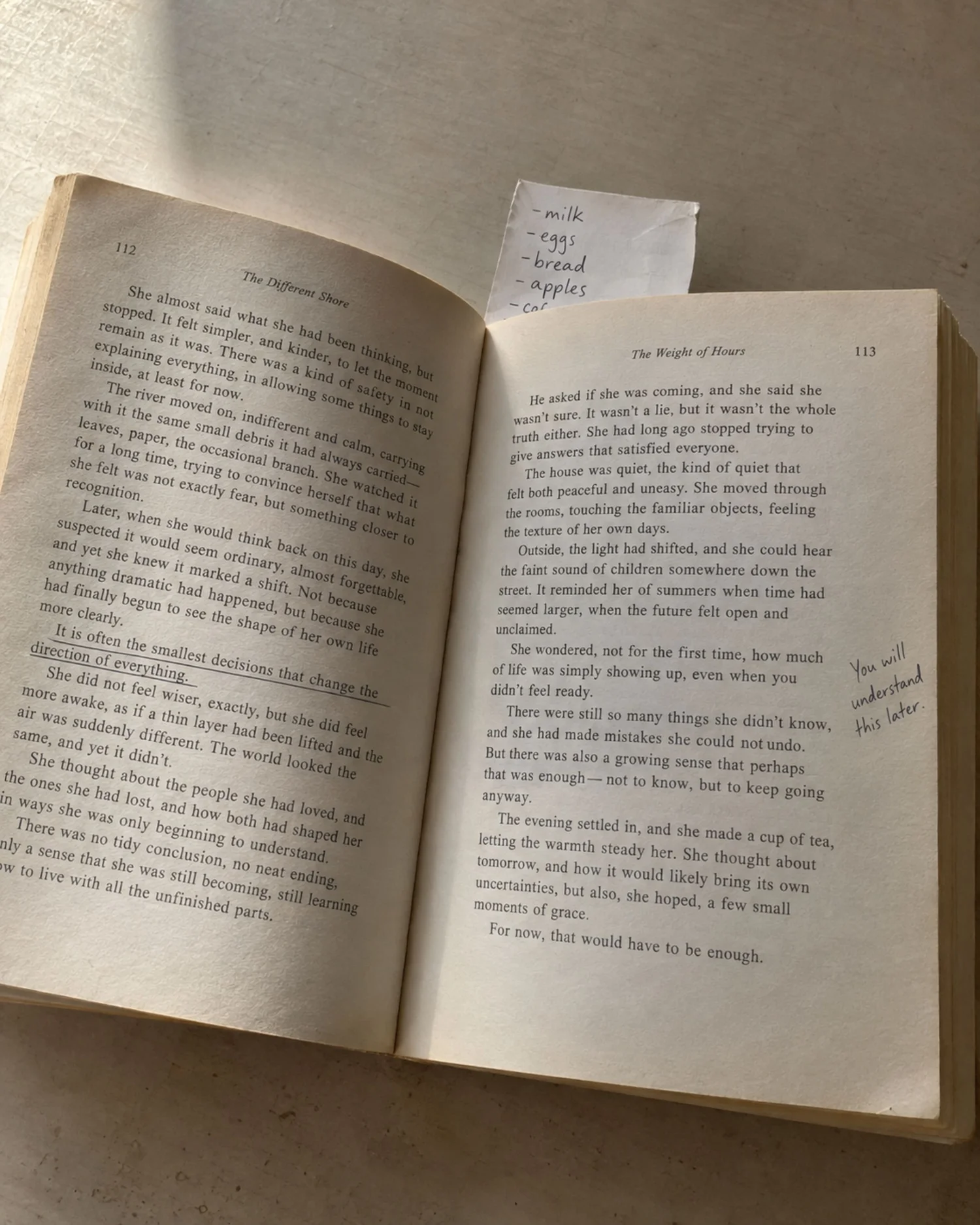 An ordinary paperback with a grocery-list bookmark and handwritten note.