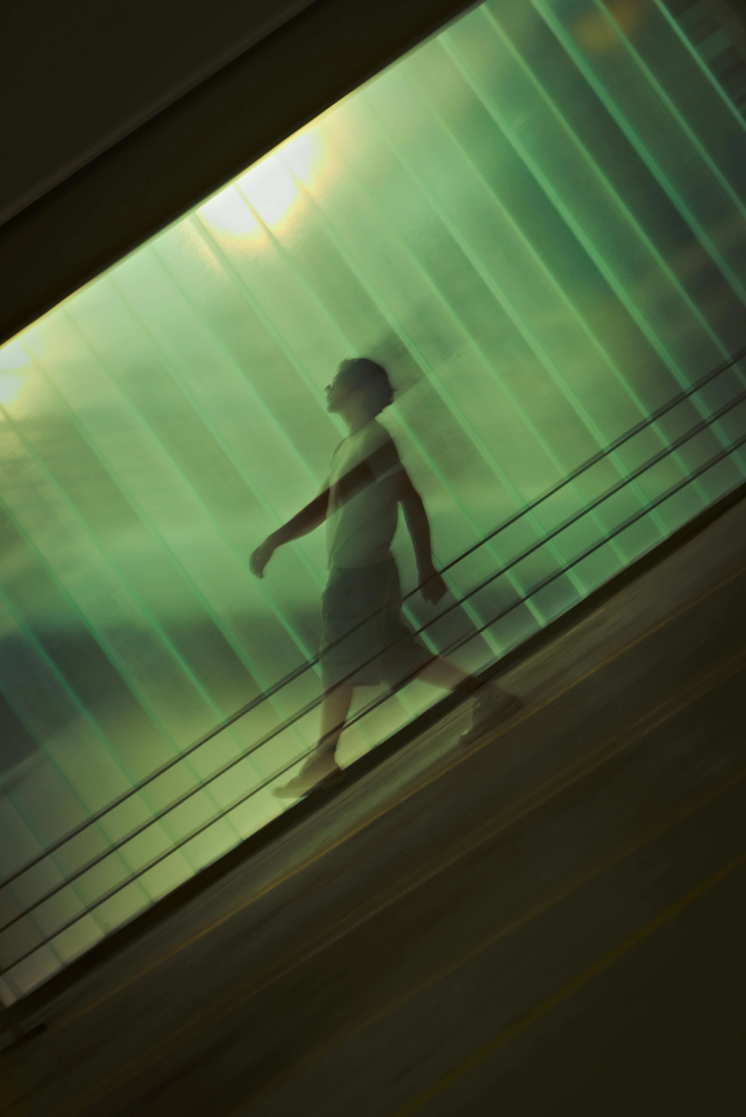 PIX03295-SML.jpg
