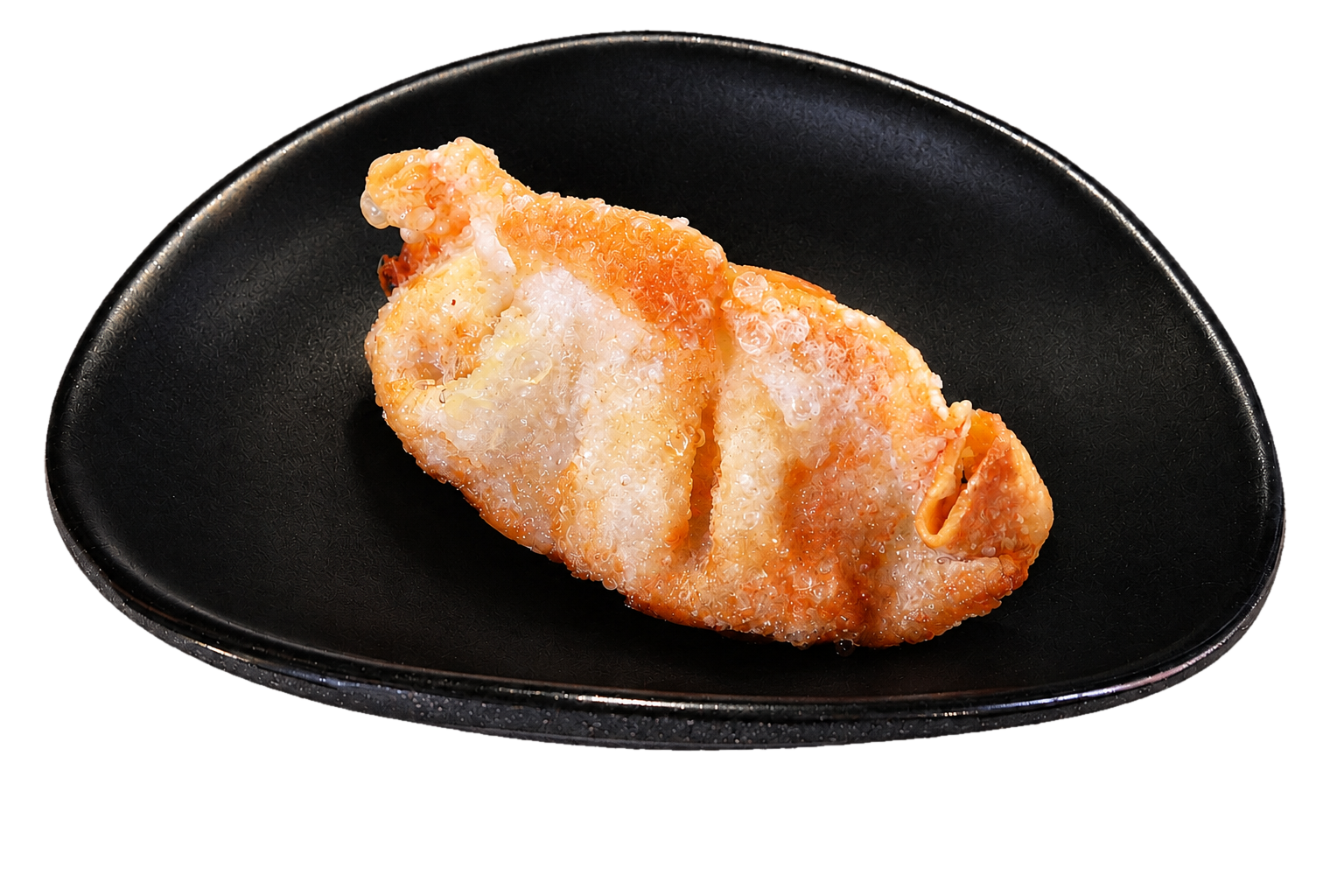 Fried pork cutlet on a black plate