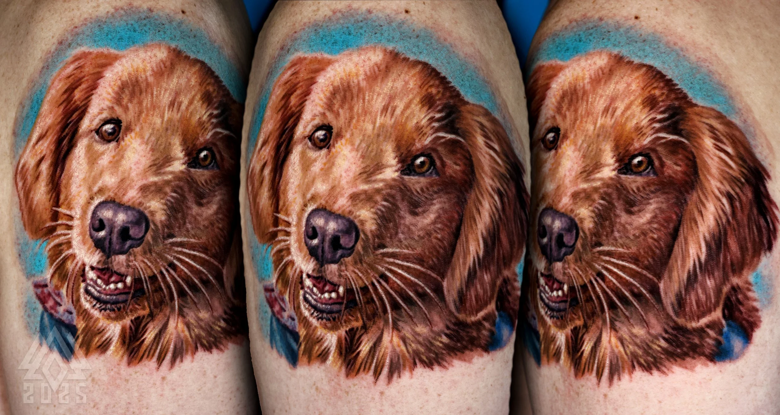 Close-up of a tattoo of a dog's face with a blue background on skin.