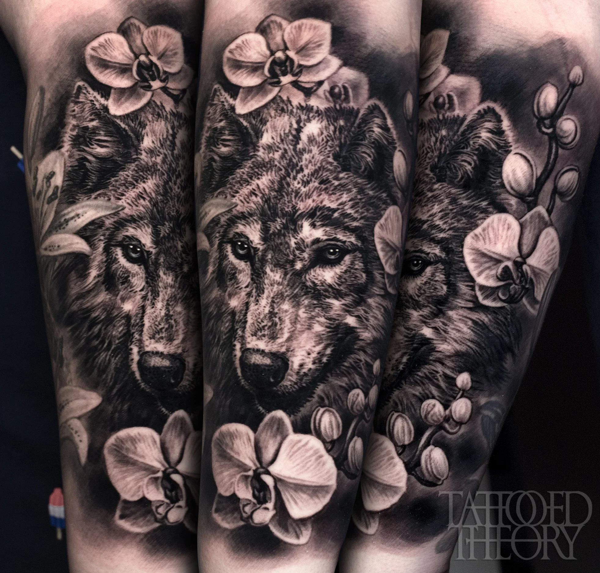 Black and gray tattoo of a detailed realistic wolf's face surrounded by orchids and other floral elements on a person's arm.