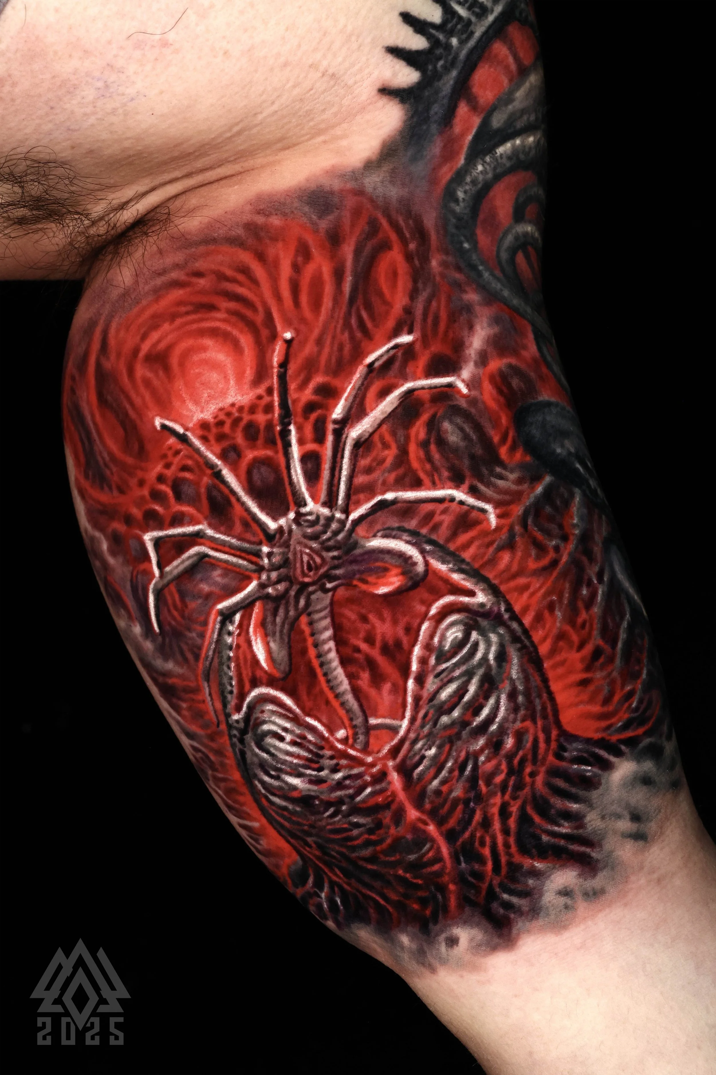 Color tattoo close-up of a black spider on a red web with spiral patterns radiating out across the arm.