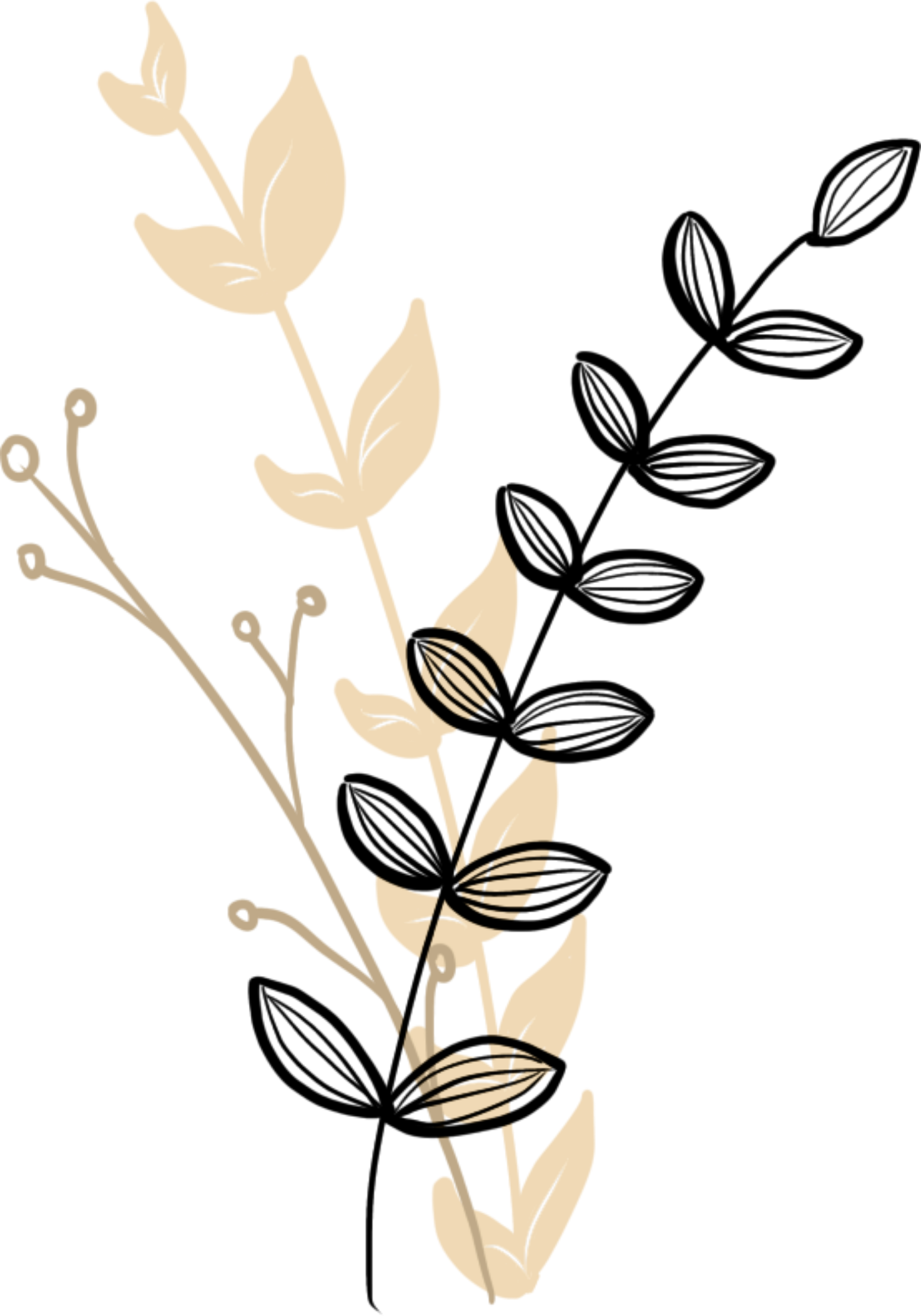 Une branche rigide avec des feuilles beige clair, accompagnée de deux papillons noirs avec des ailes rayées, devant un arrière-plan rose
