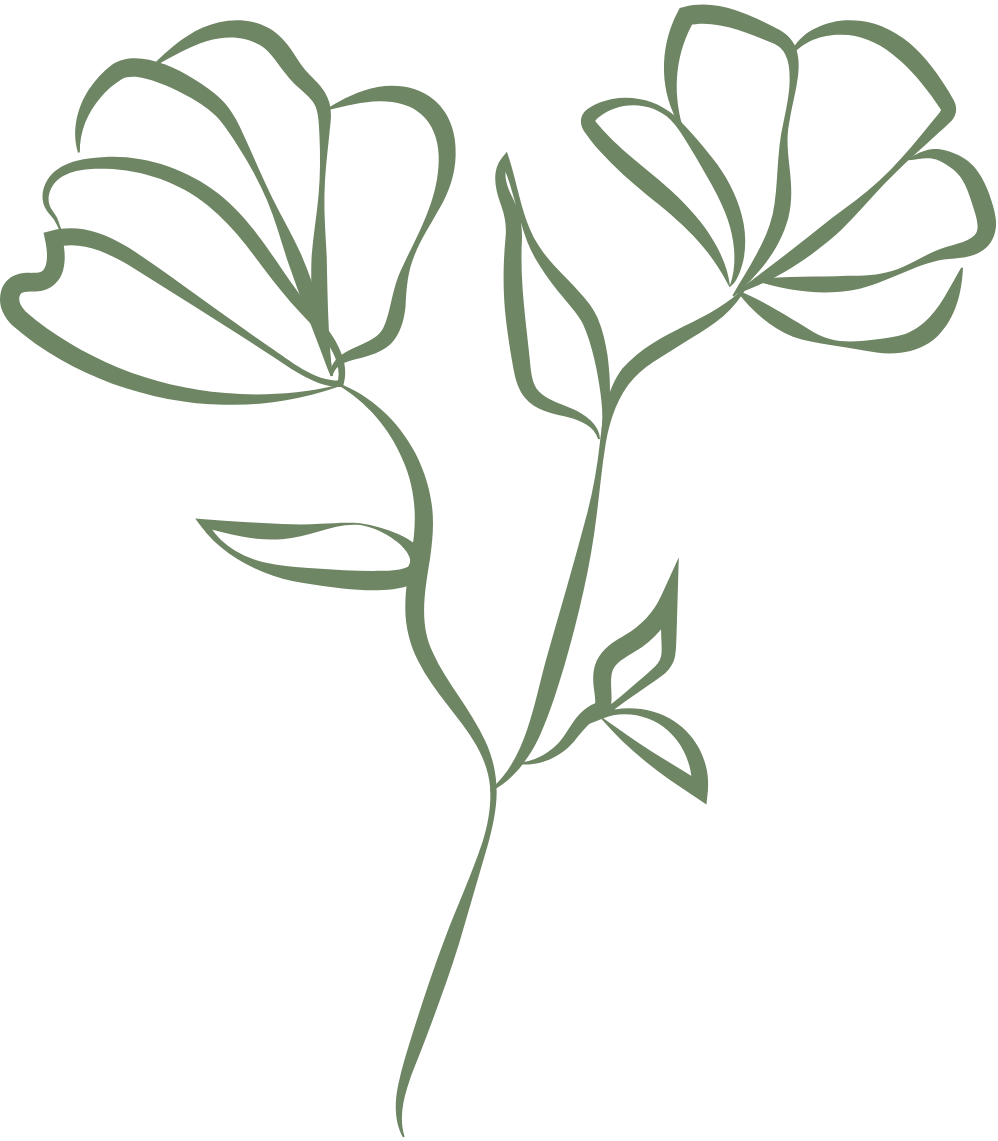 Dessin minimaliste d'une branche de rose avec deux grandes fleurs et quelques feuilles, en ligne épurée, couleur vert foncé.