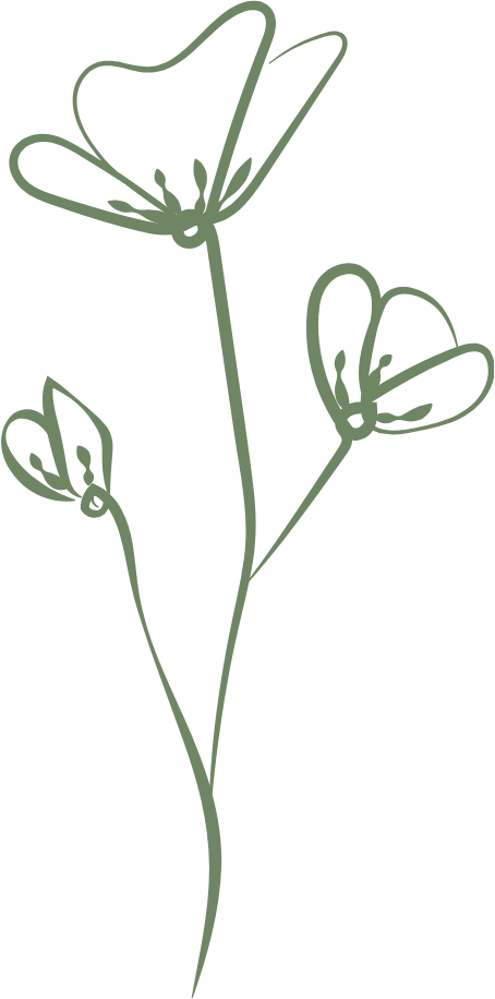 Dessin d'une branche de plante avec trois fleurs abstraites en lignes épaisses et courbes, style minimaliste.